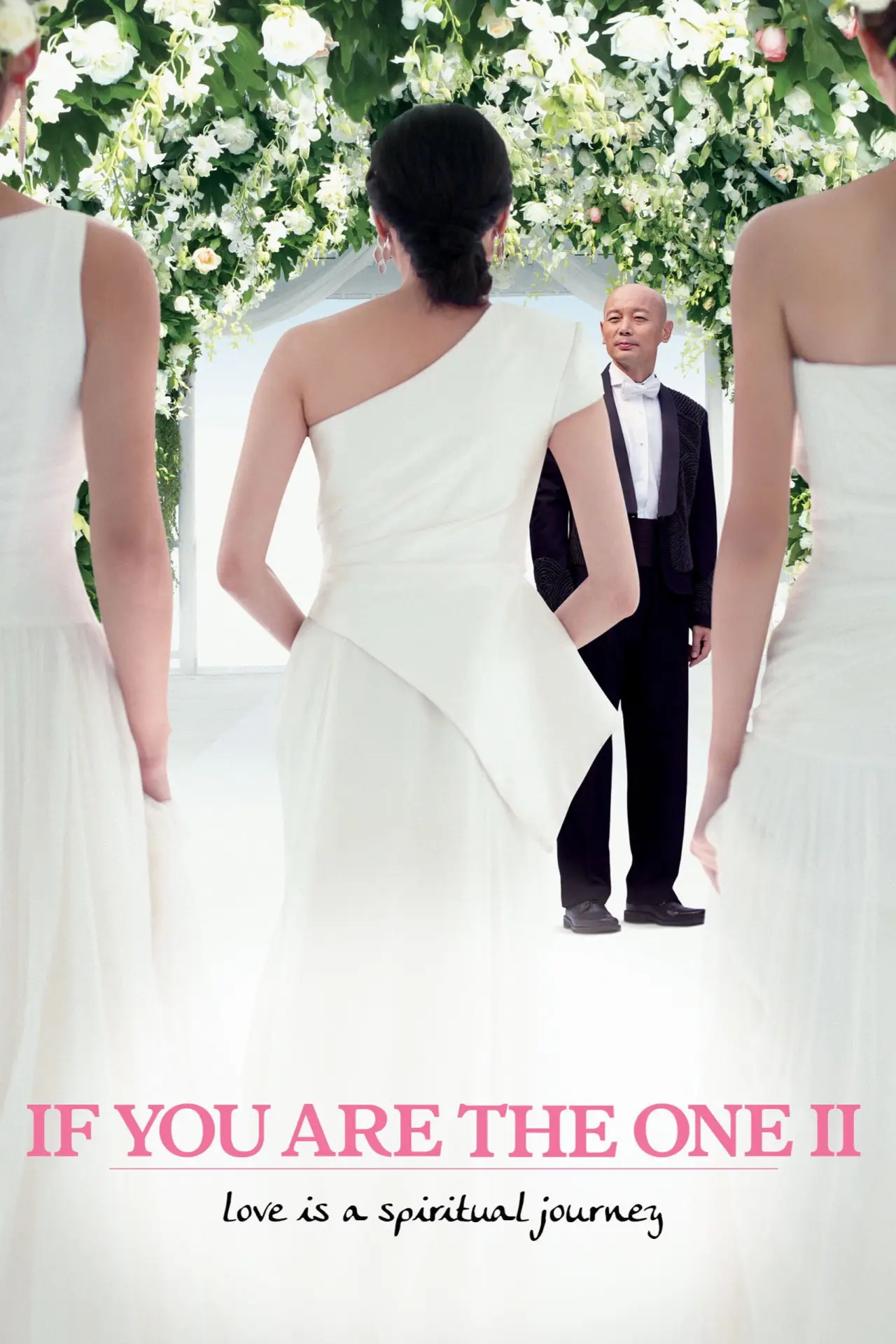 Movie poster "If You Are the One 2"