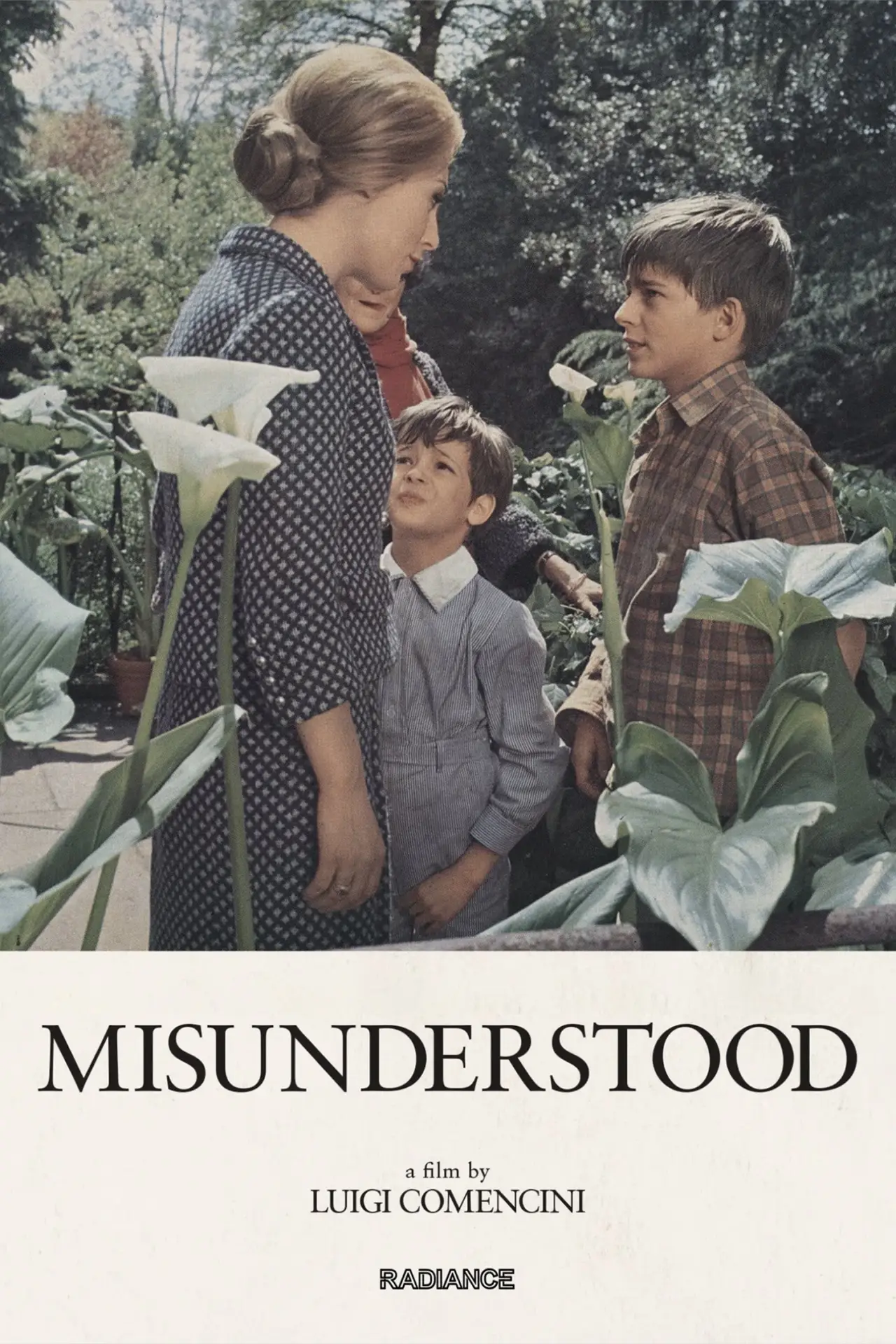Movie poster "Misunderstood"