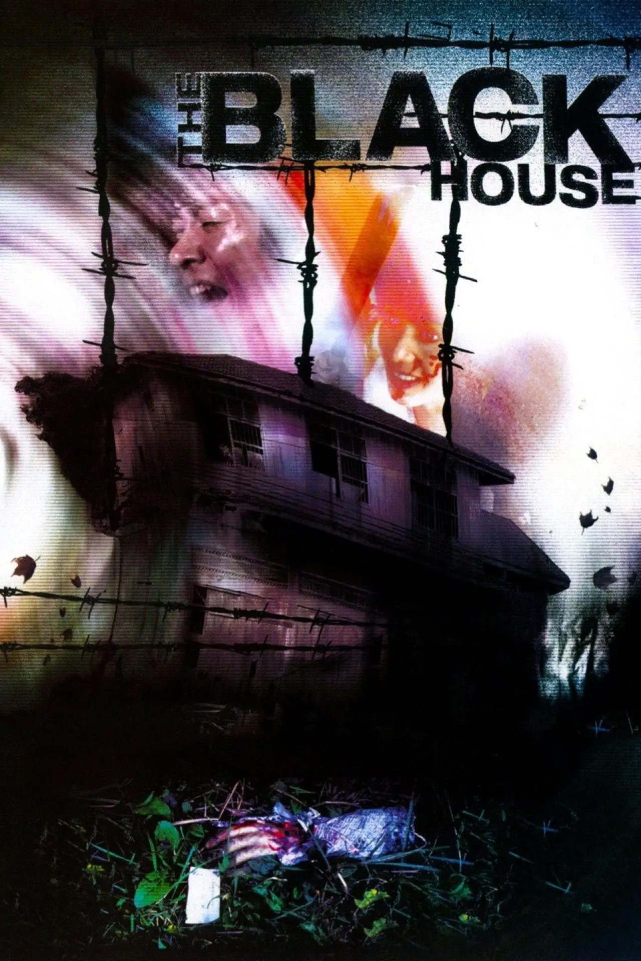 Movie poster "The Black House"