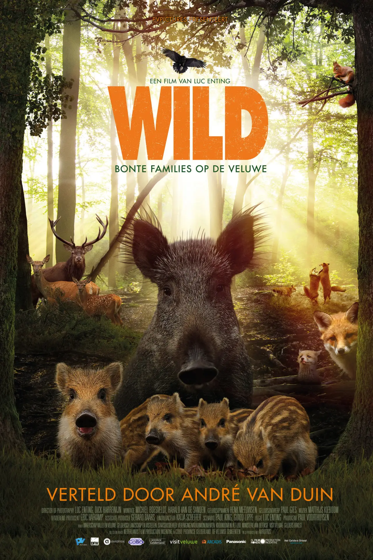 Movie poster "Wild"