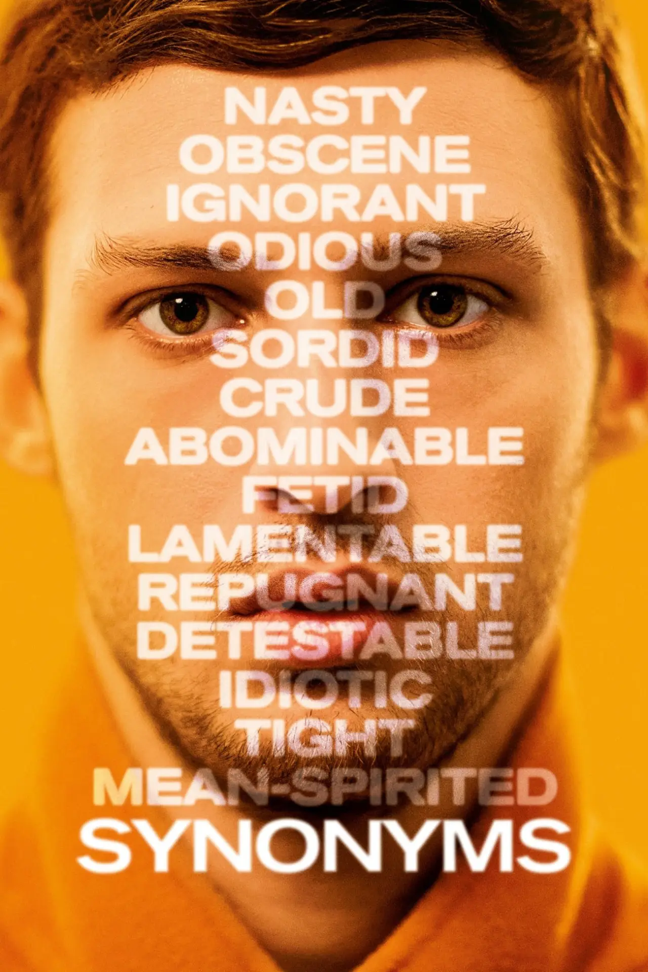 Movie poster "Synonyms"