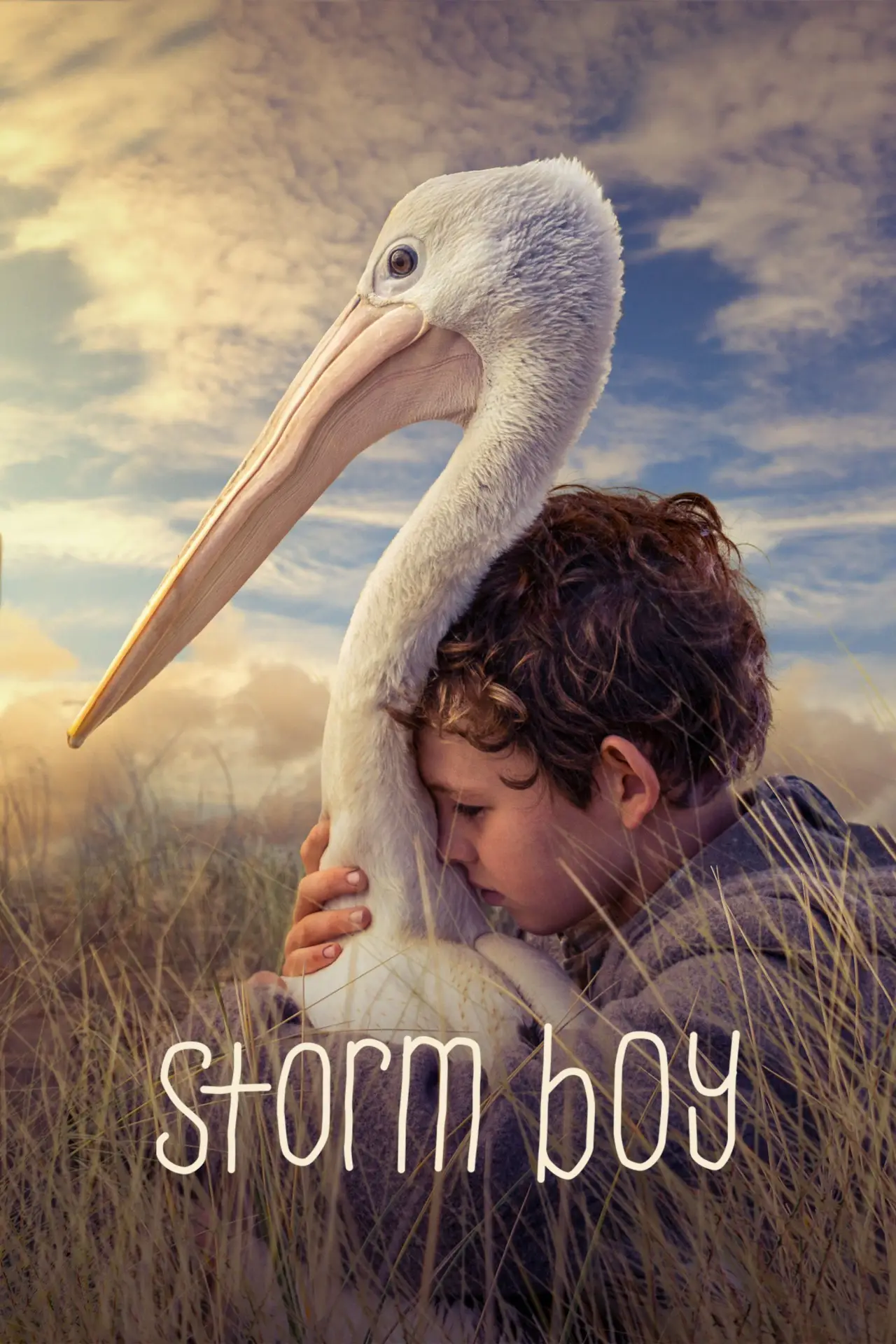 Movie poster "Storm Boy"