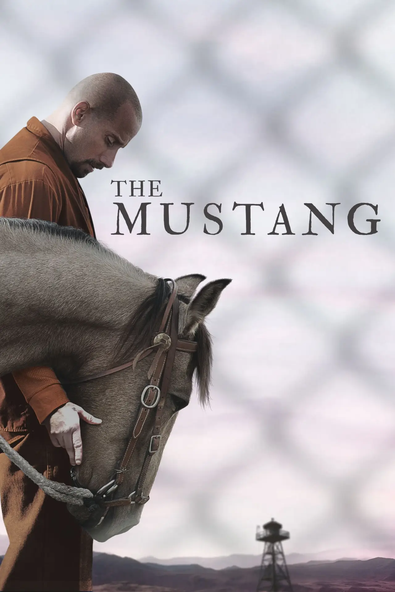 Movie poster "The Mustang"