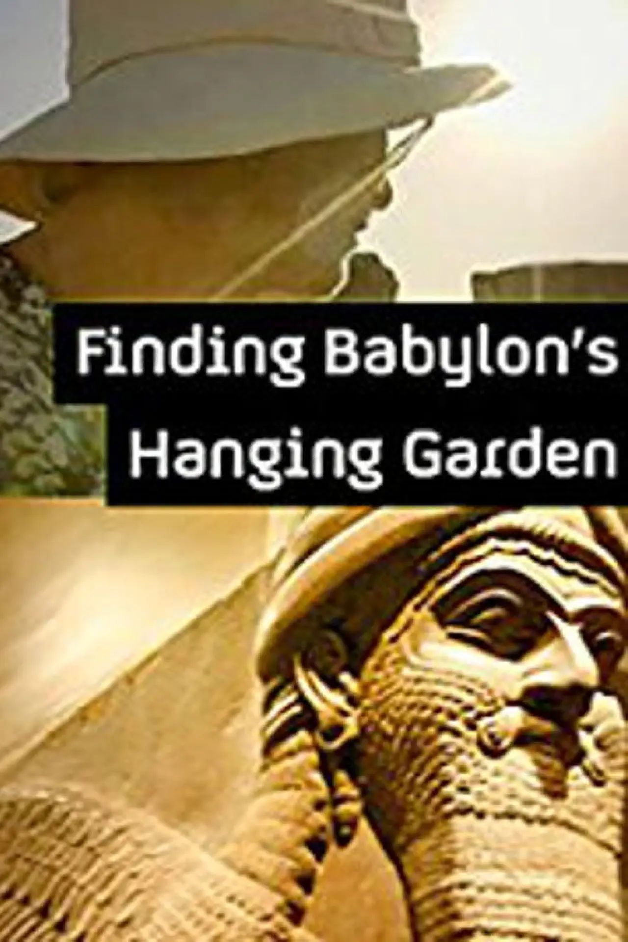 Movie poster "Finding Babylon