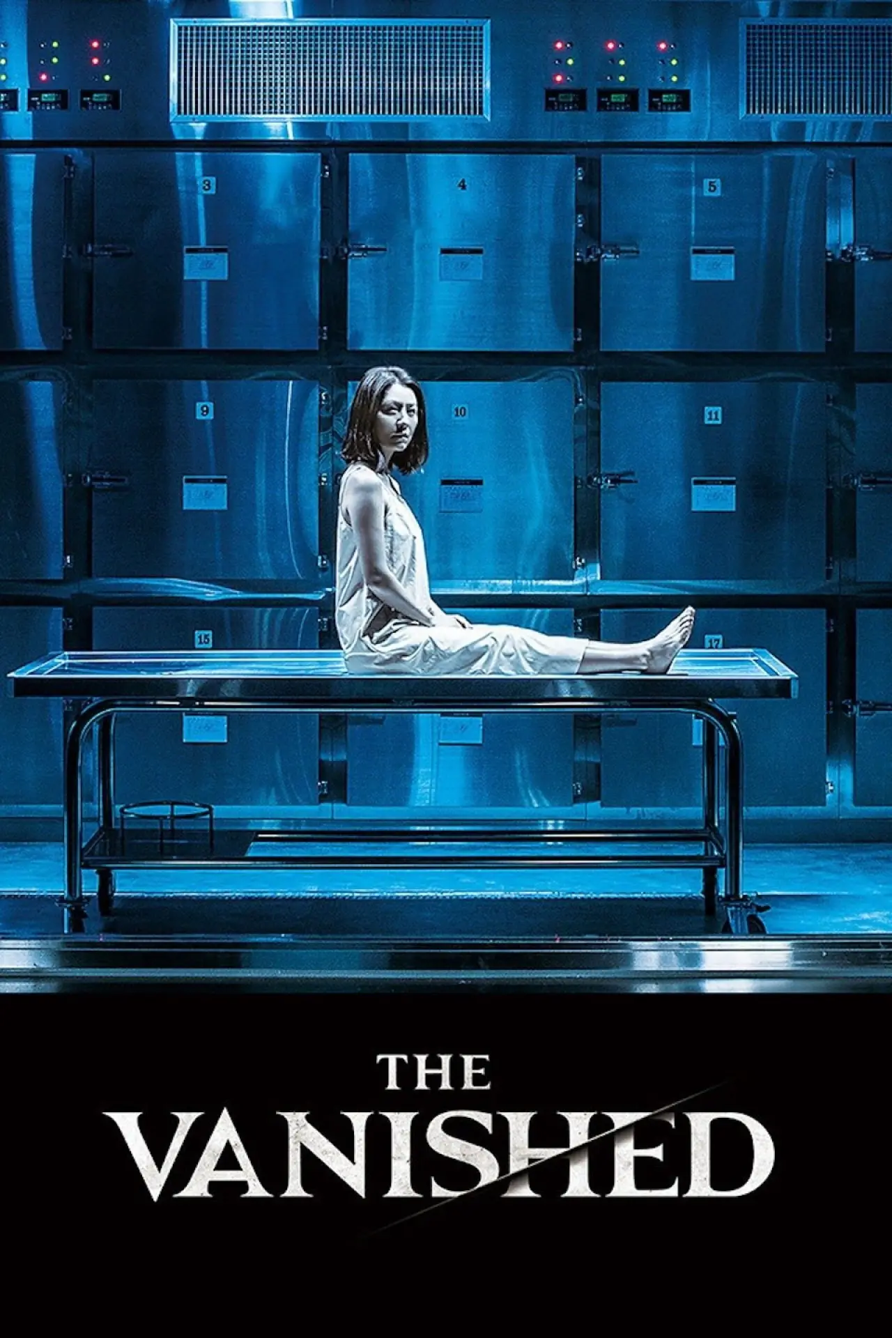 Movie poster "The Vanished"