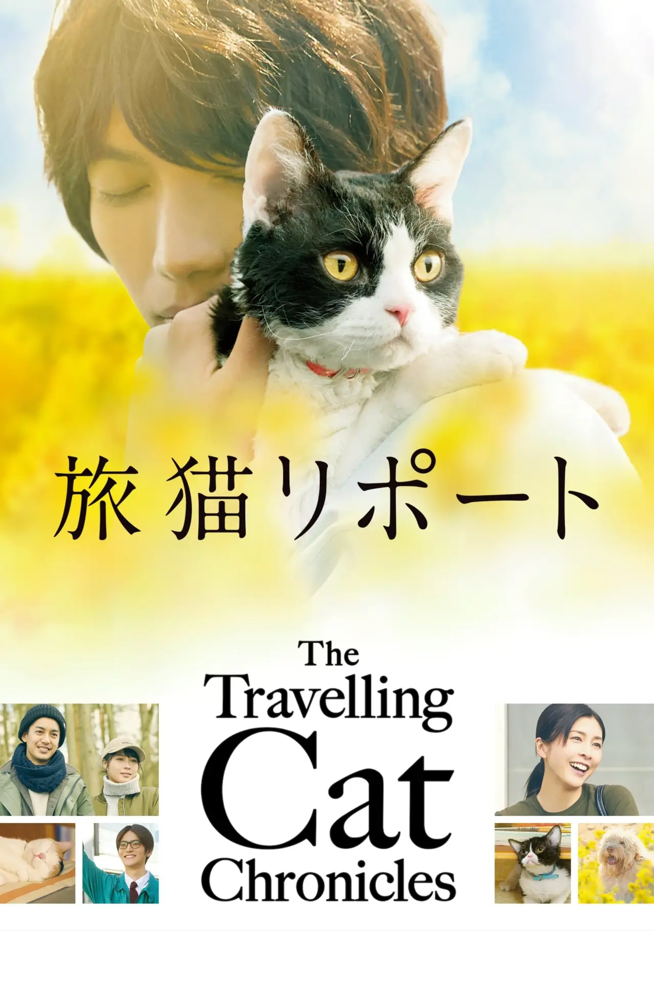 Movie poster "The Travelling Cat Chronicles"