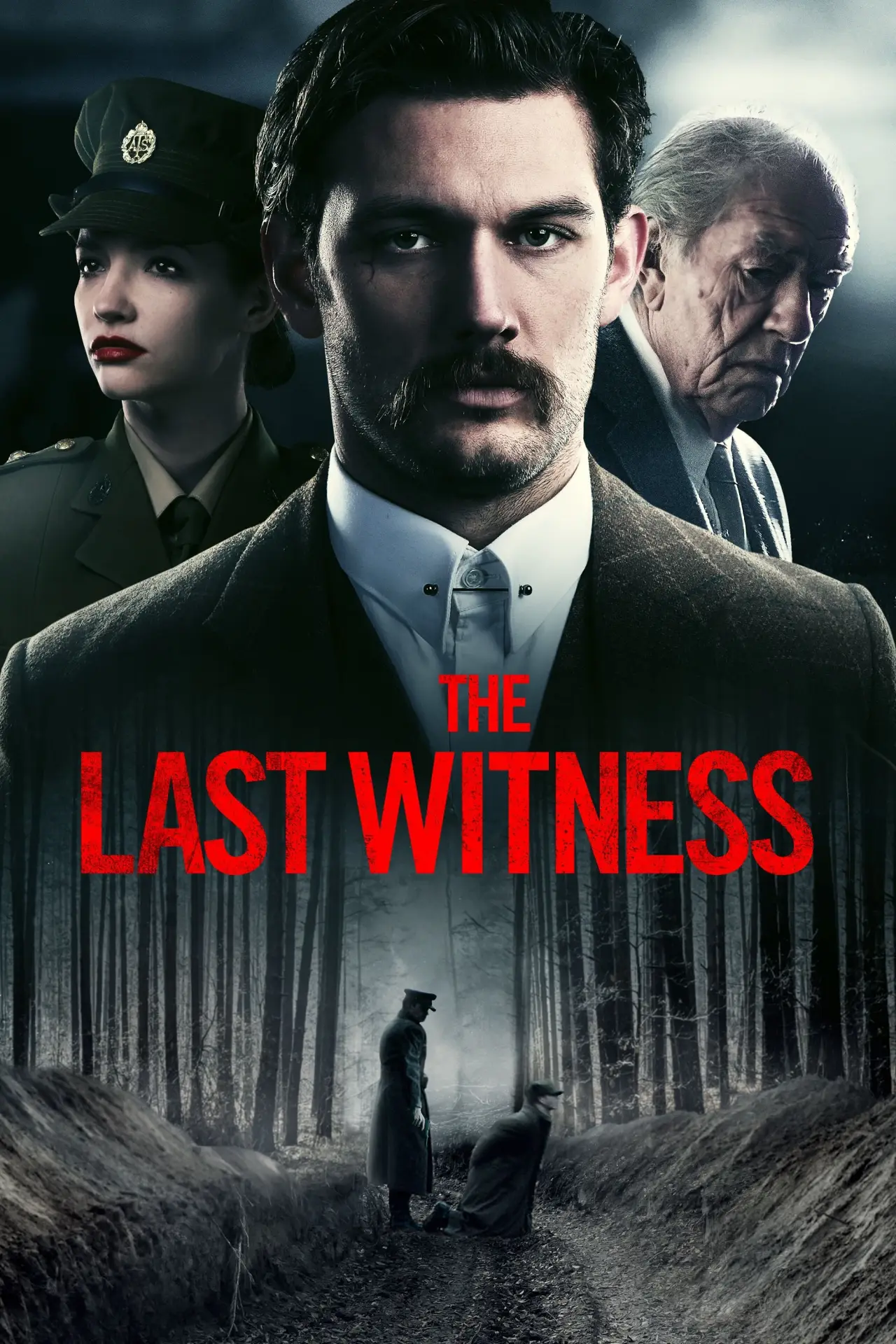 Movie poster "The Last Witness"