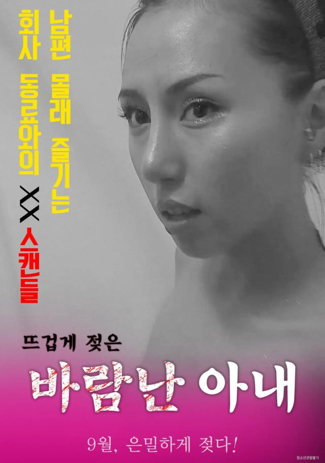 Movie poster "Cheating Wife"