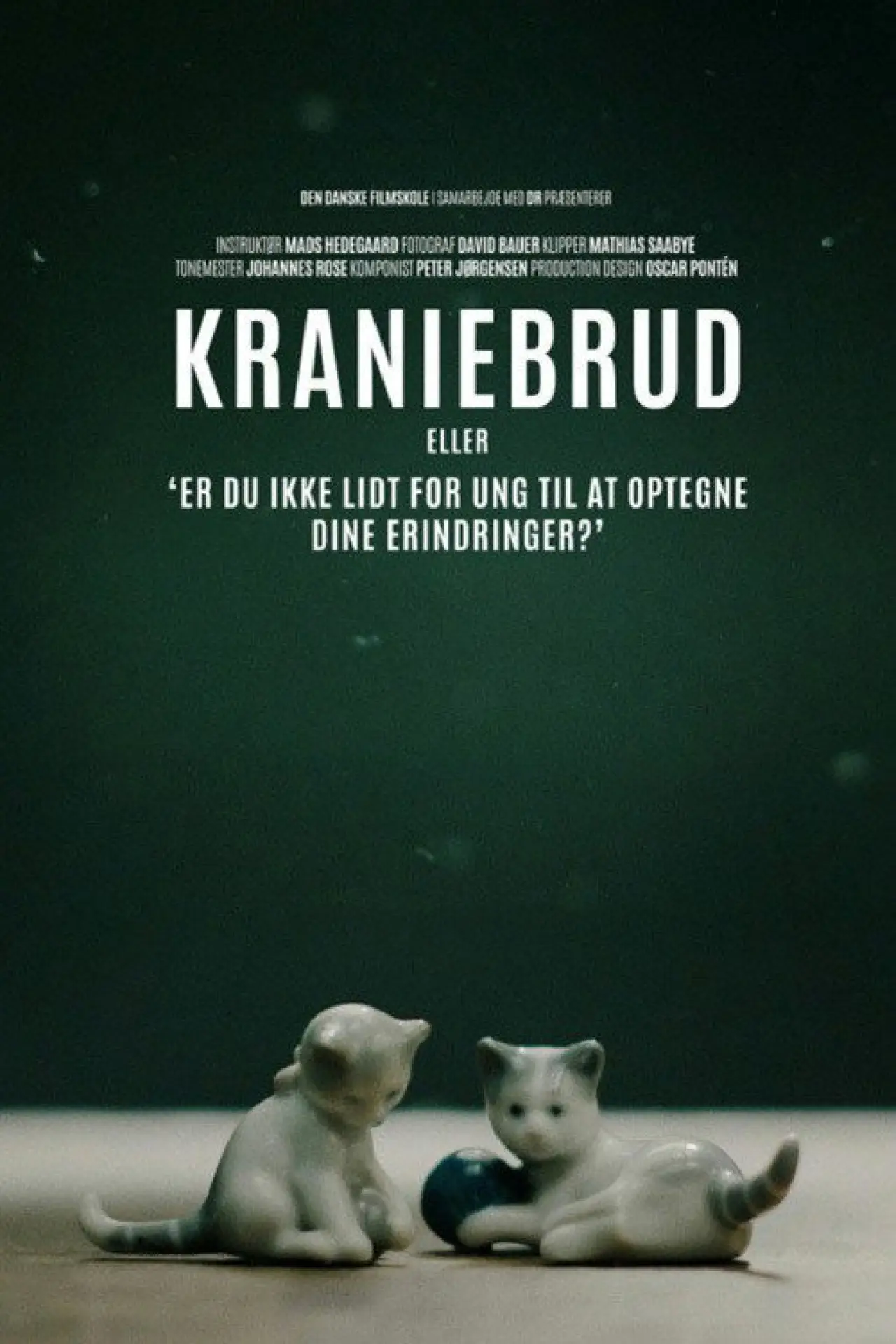 Movie poster "Skull Fracture or 
