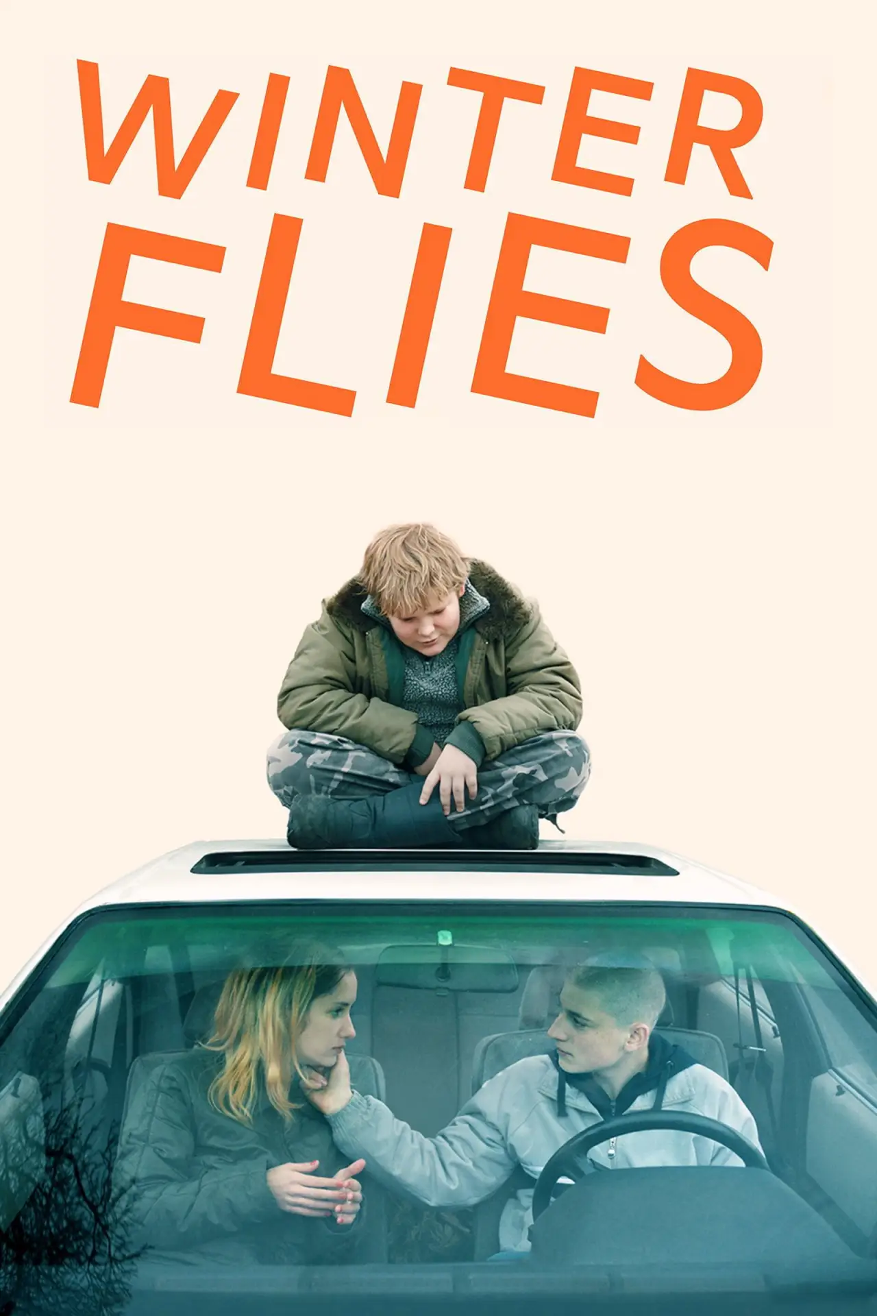 Movie poster "Winter Flies"