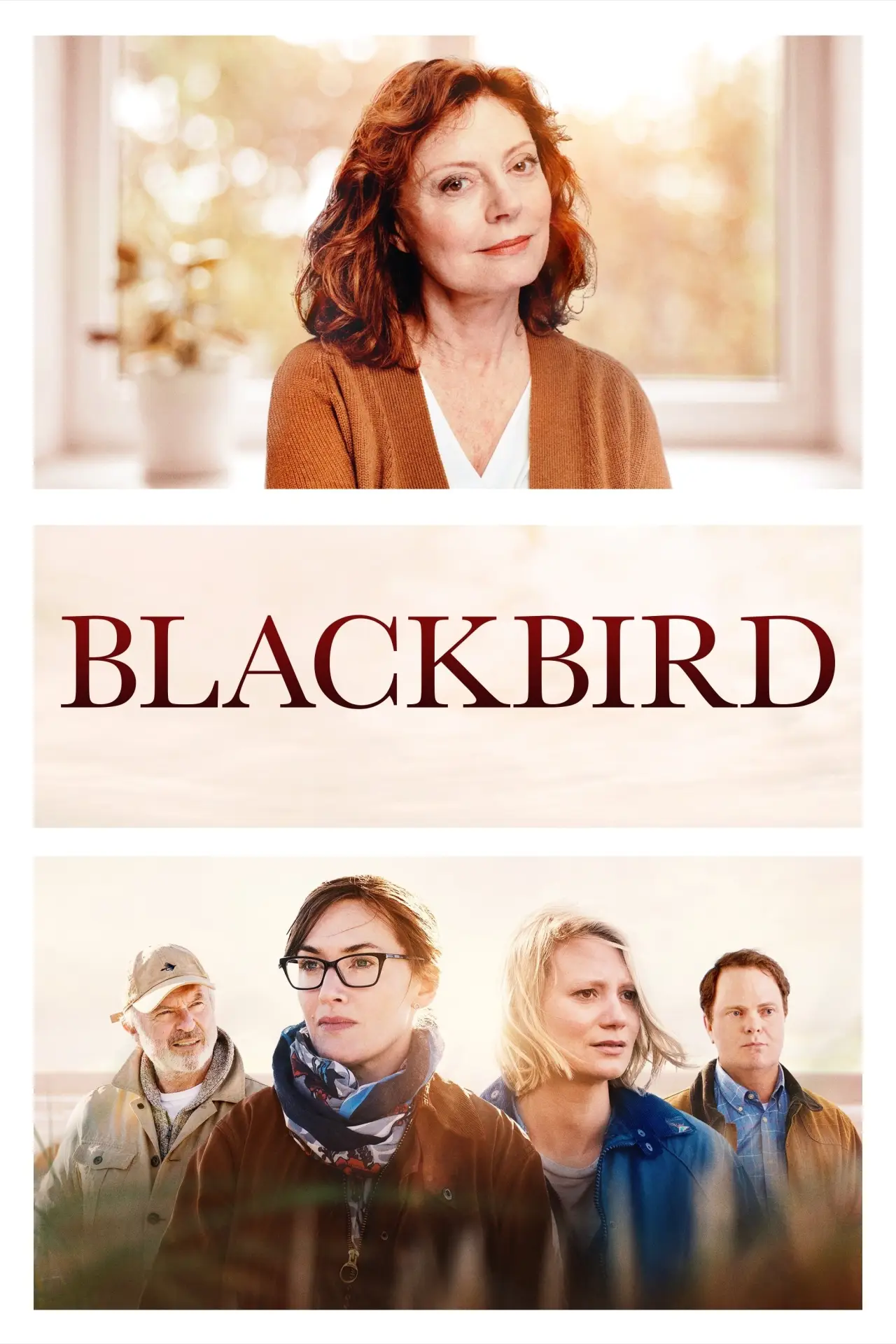 Movie poster "Blackbird"