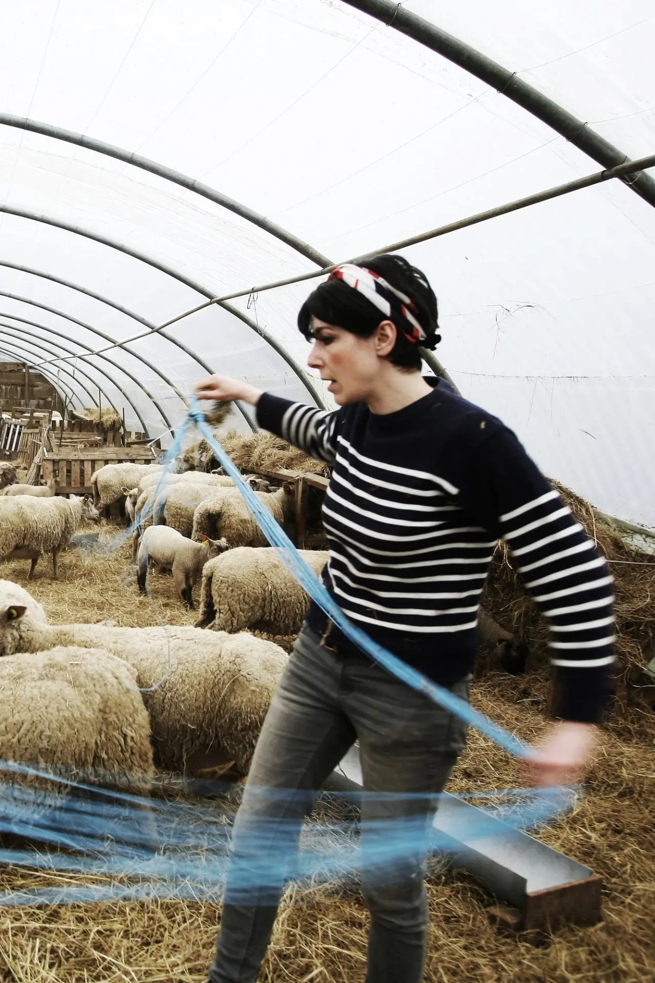 Movie poster "A Modern Shepherdess"