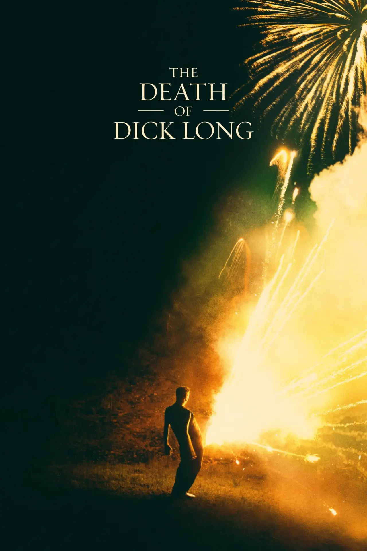 Movie poster "The Death of Dick Long"