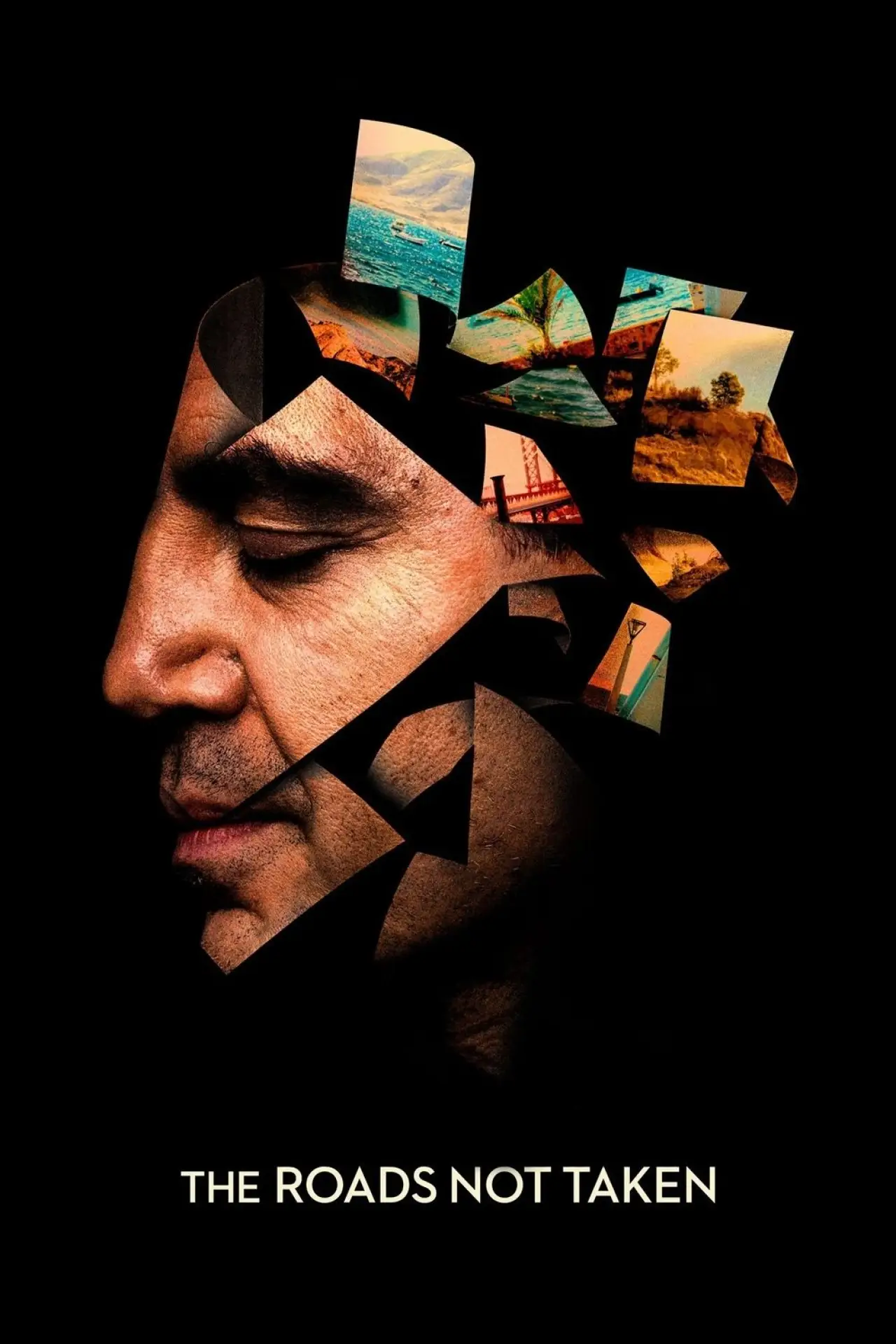 Movie poster "The Roads Not Taken"