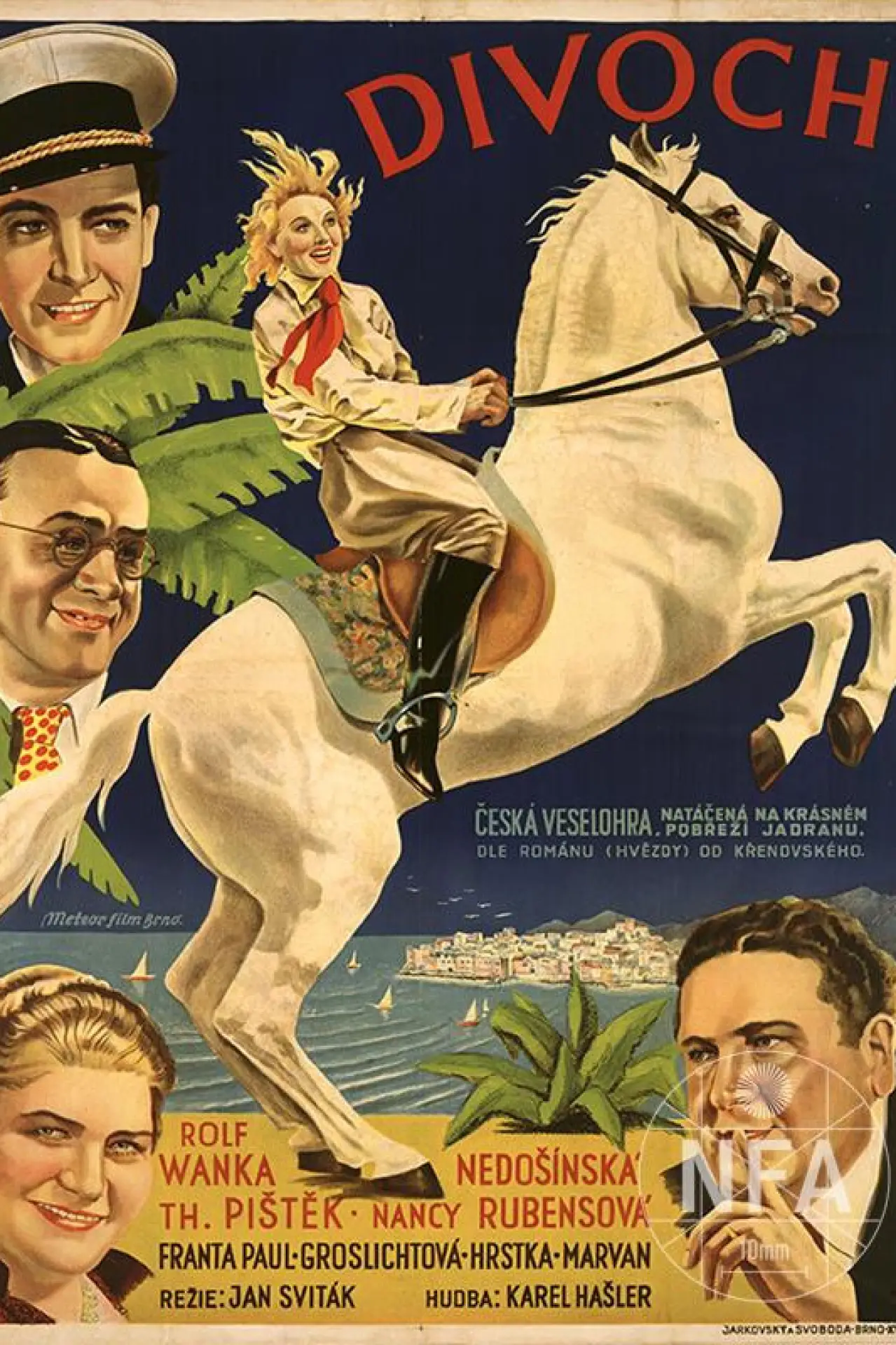 Movie poster "Divoch"