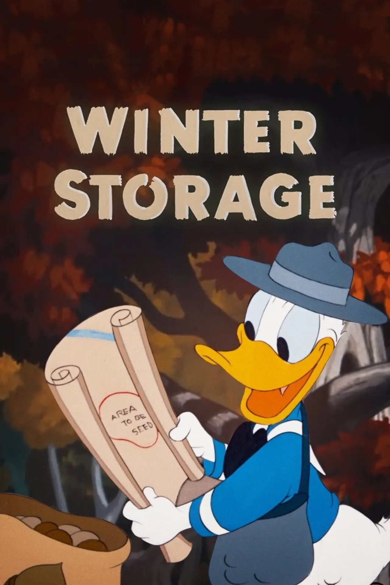 Movie poster "Winter Storage"