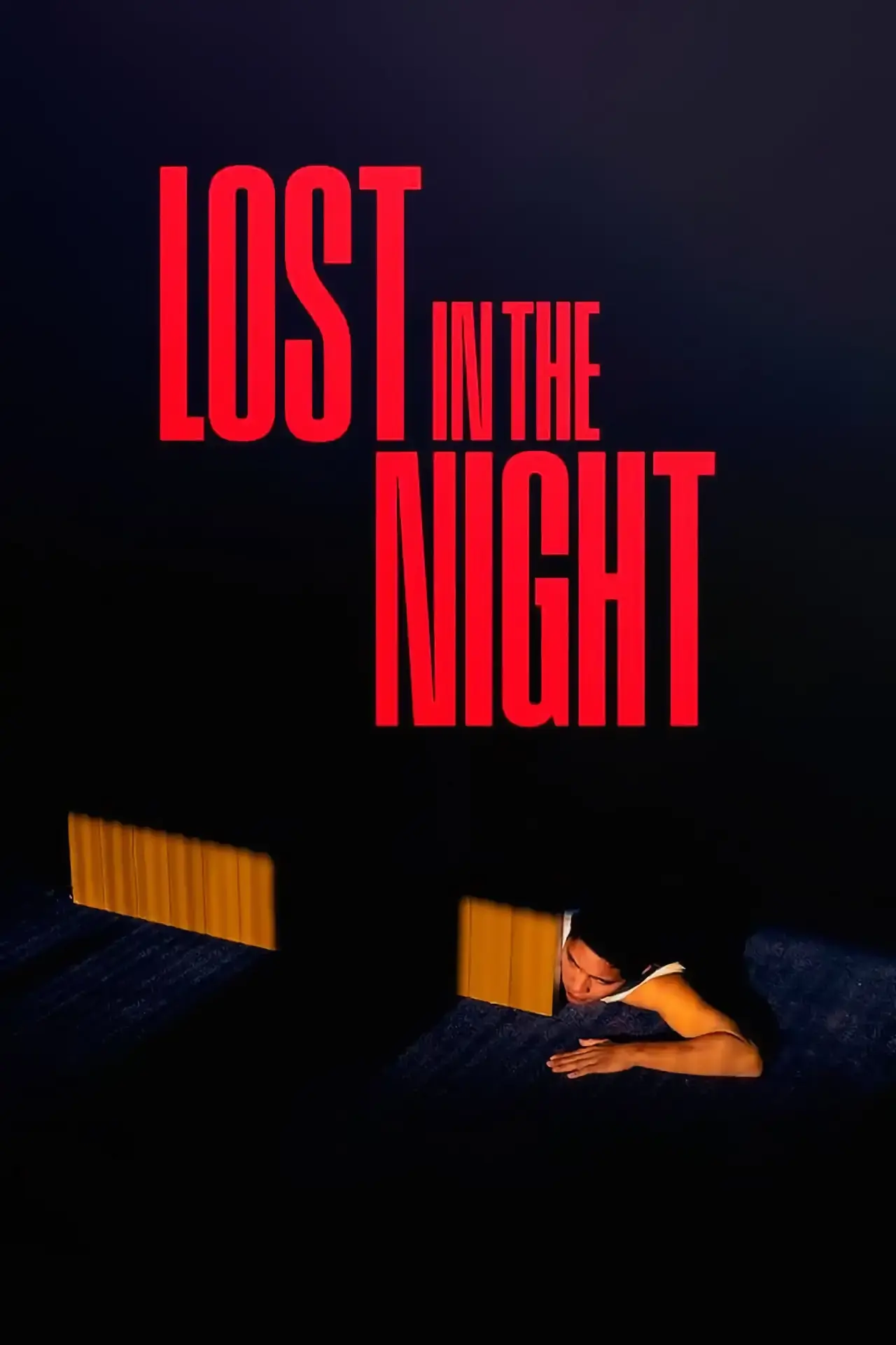 Movie poster "Lost in the Night"