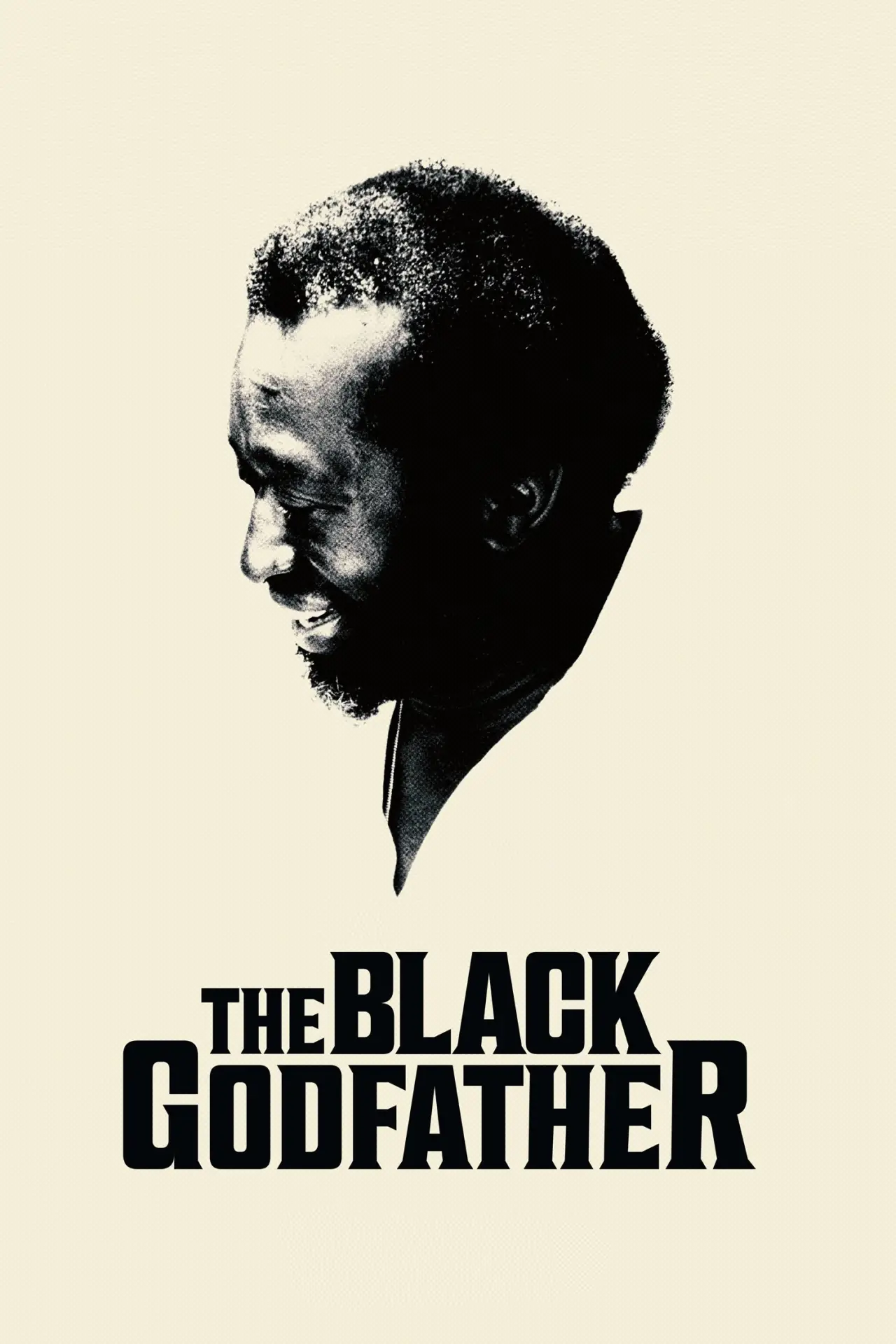 Movie poster "The Black Godfather"