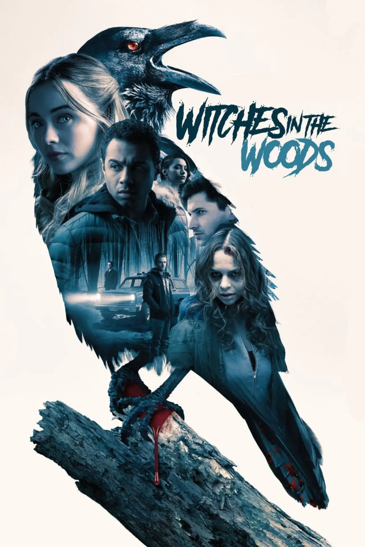 Movie poster "Witches in the Woods"