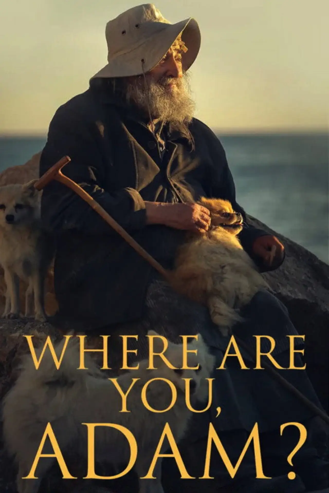 Movie poster "Where are you, Adam?"