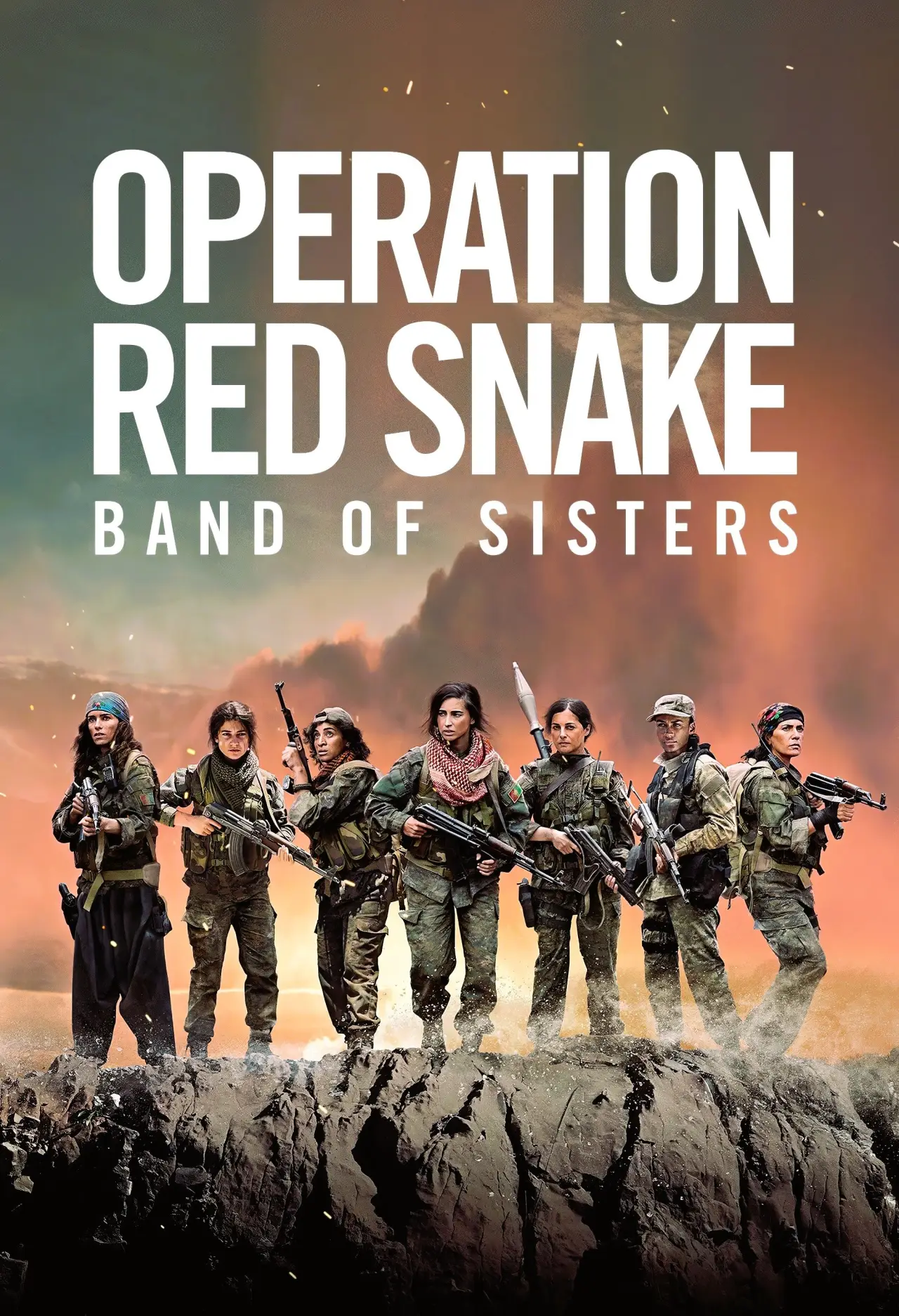 Movie poster "Sisters in Arms"