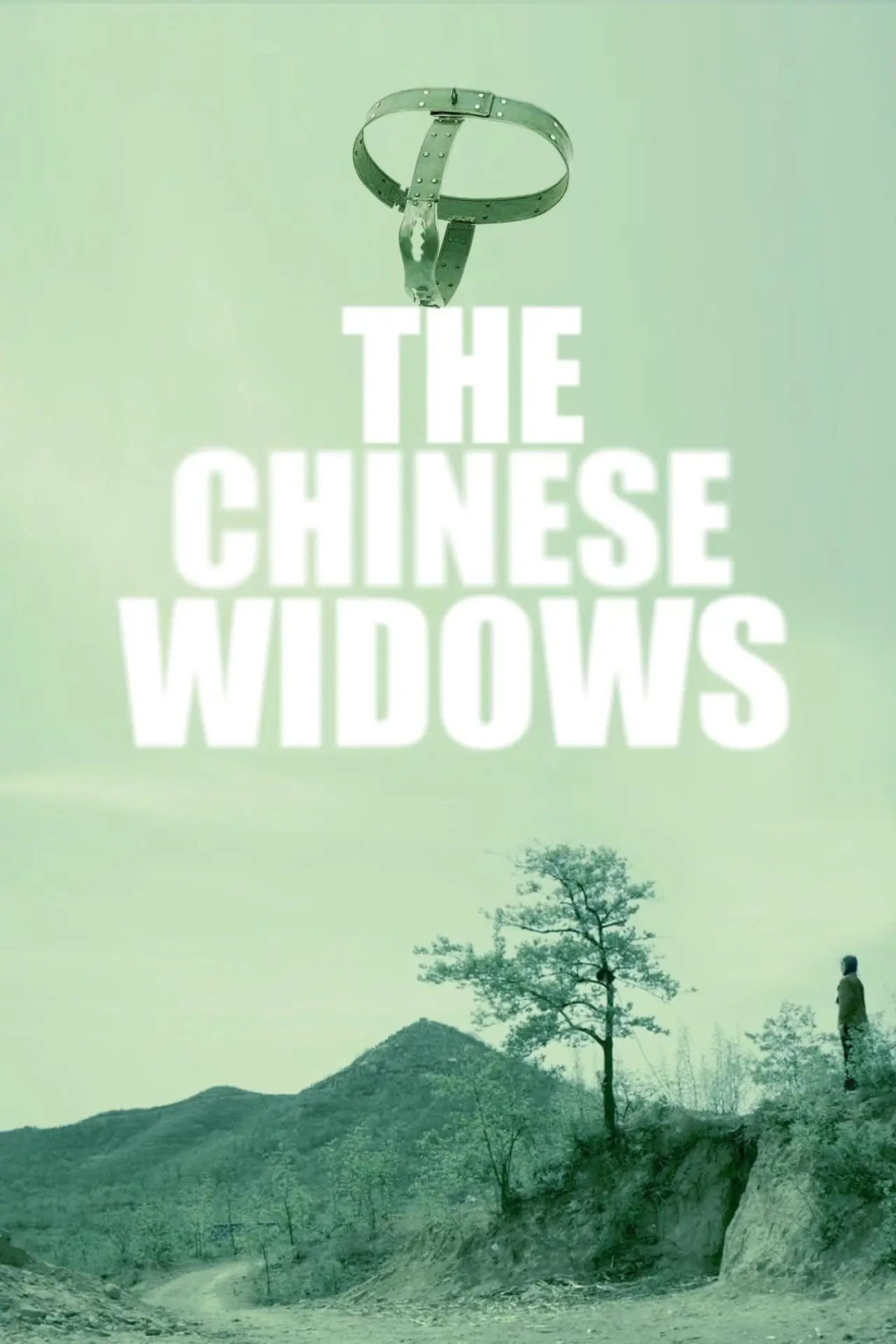 Movie poster "中国式寡妇"