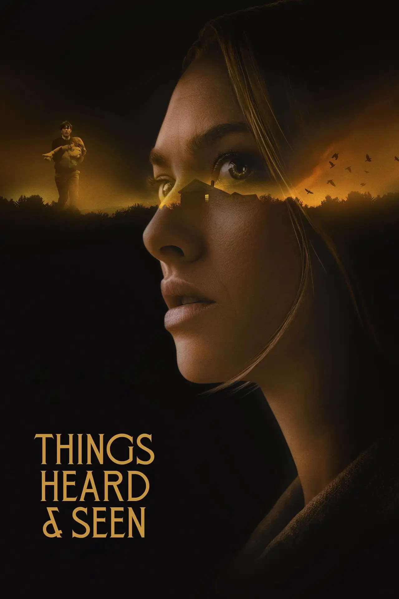 Movie poster "Things Heard & Seen"