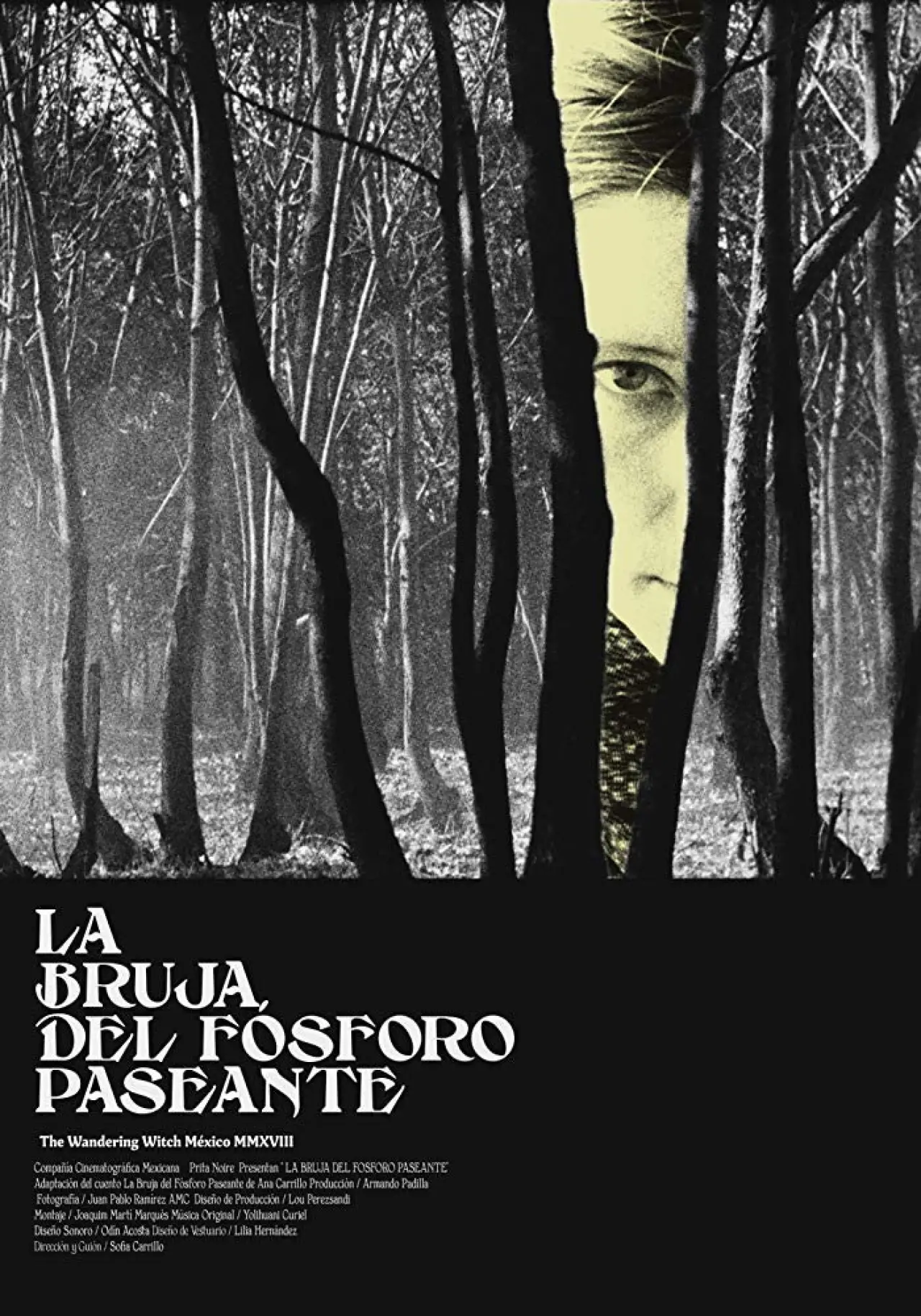 Movie poster "The Wandering Witch"