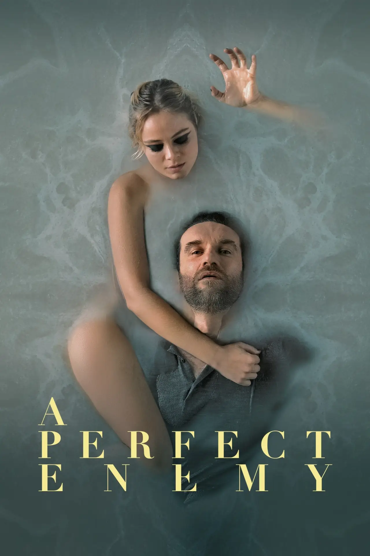 Movie poster "A Perfect Enemy"
