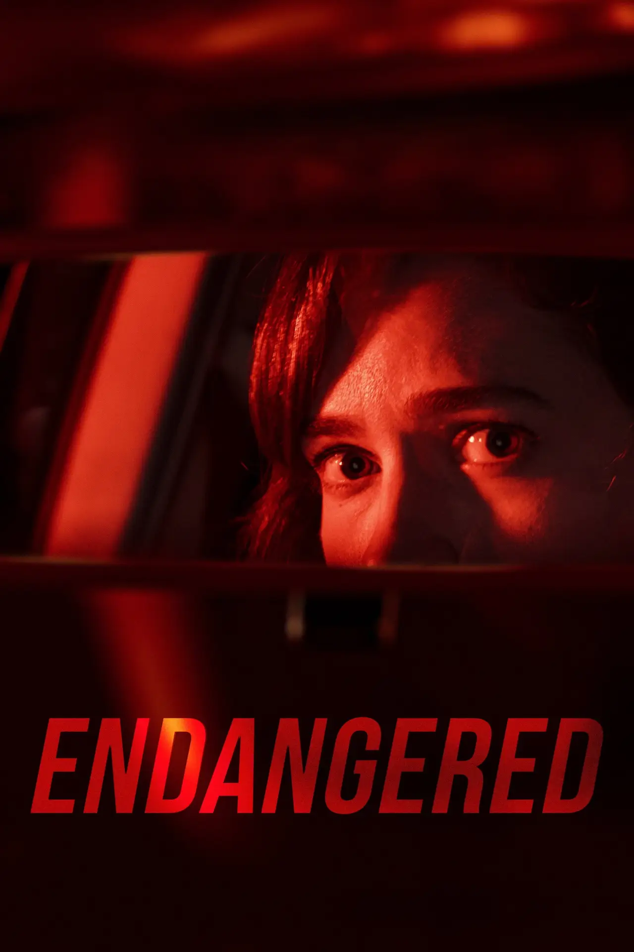 Movie poster "Endangered"