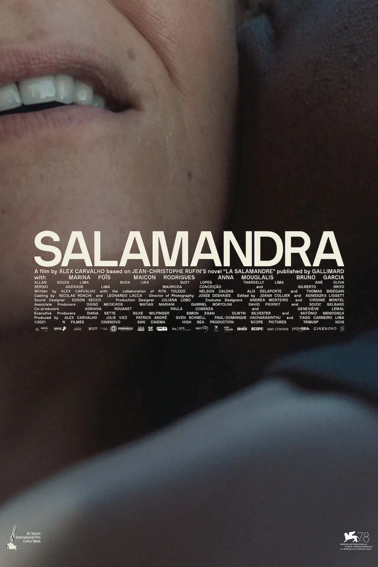 Movie poster "The Salamander"