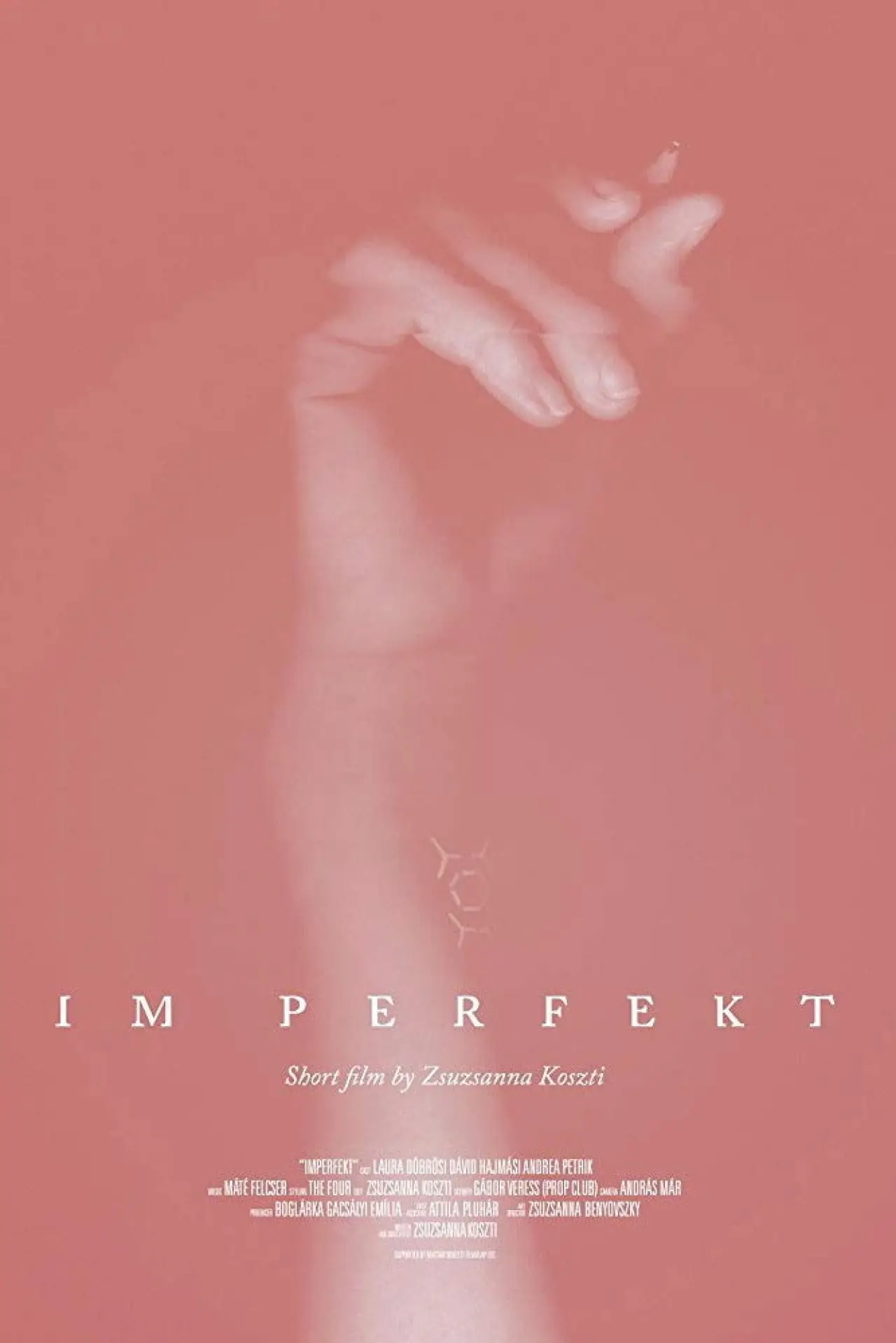 Movie poster "IM Perfekt"
