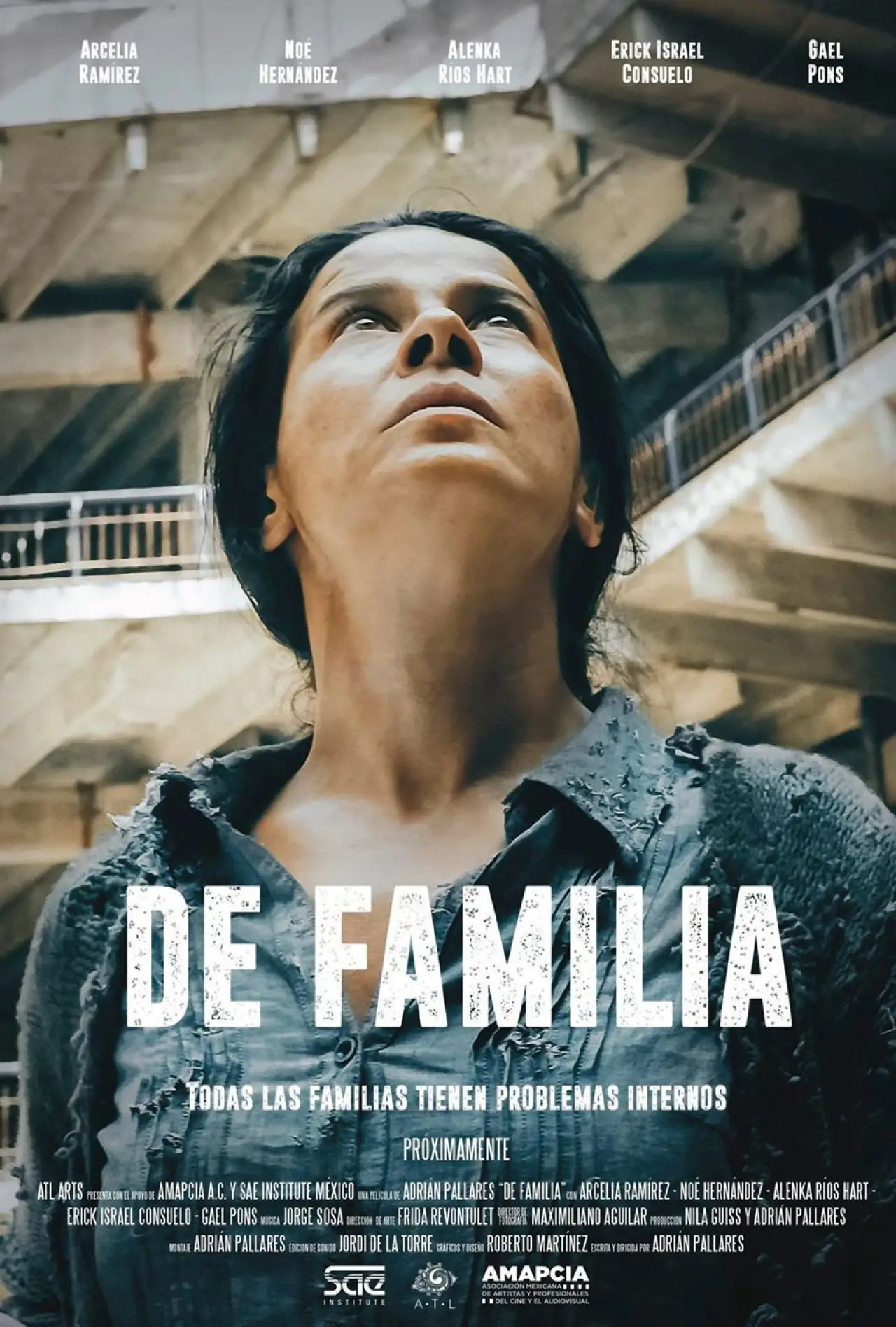 Movie poster "About Family"