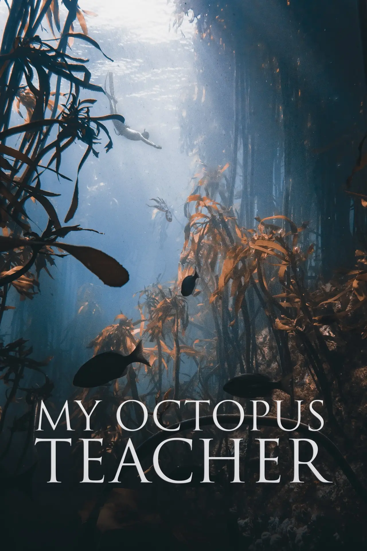 Movie poster "My Octopus Teacher"