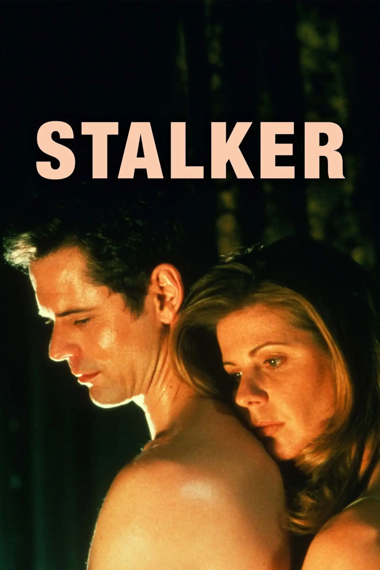 Movie poster "Fatal Affair"