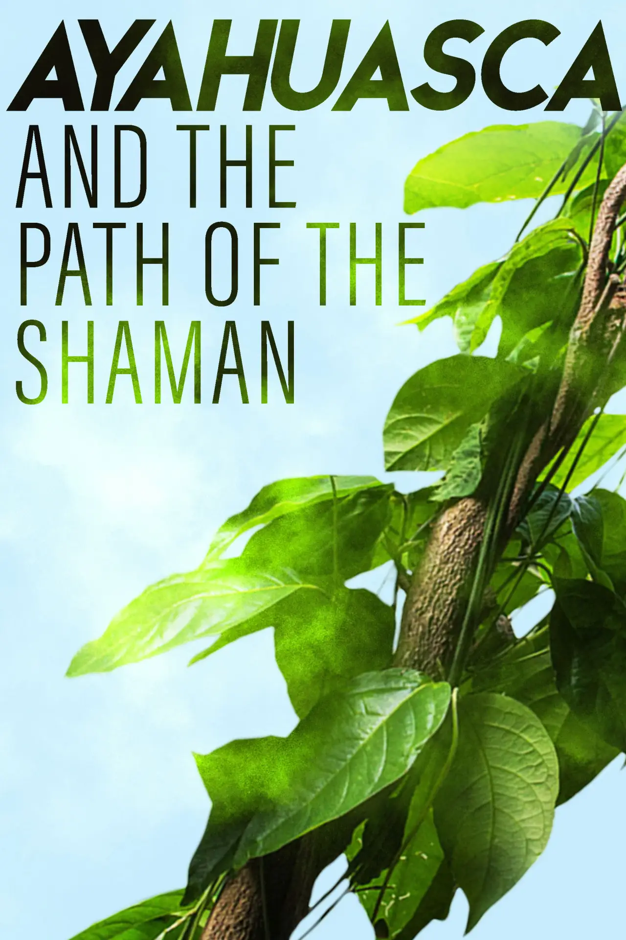 Movie poster "Ayahuasca and the Path of the Shaman"