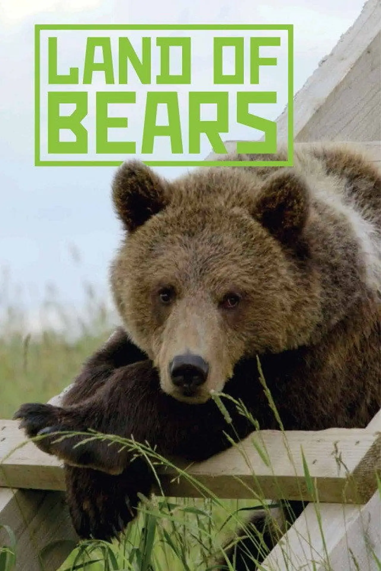 Movie poster "Land of Bears"