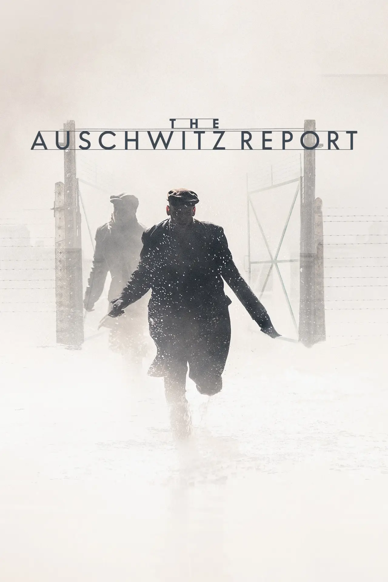 Movie poster "The Auschwitz Report"
