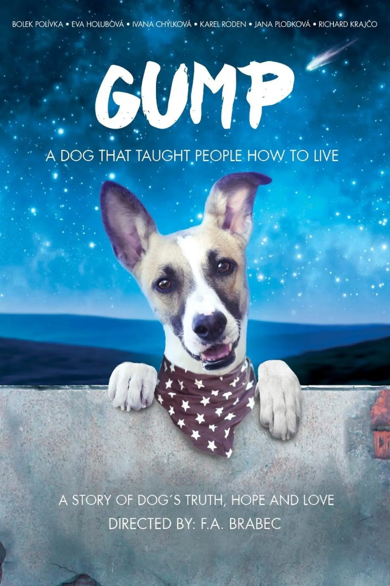 Movie poster "Gump"