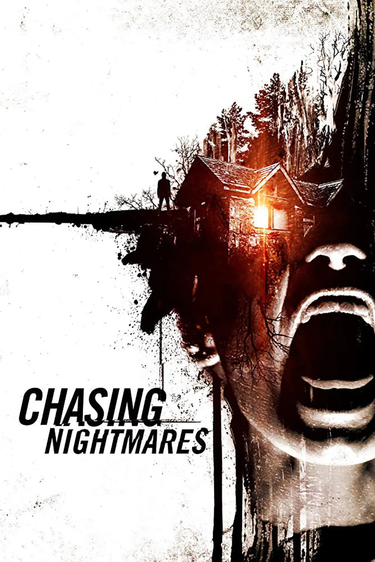 Movie poster "Chasing Nightmares"