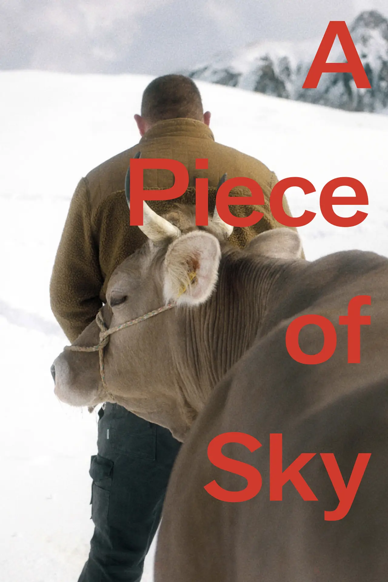 Movie poster "A Piece of Sky"