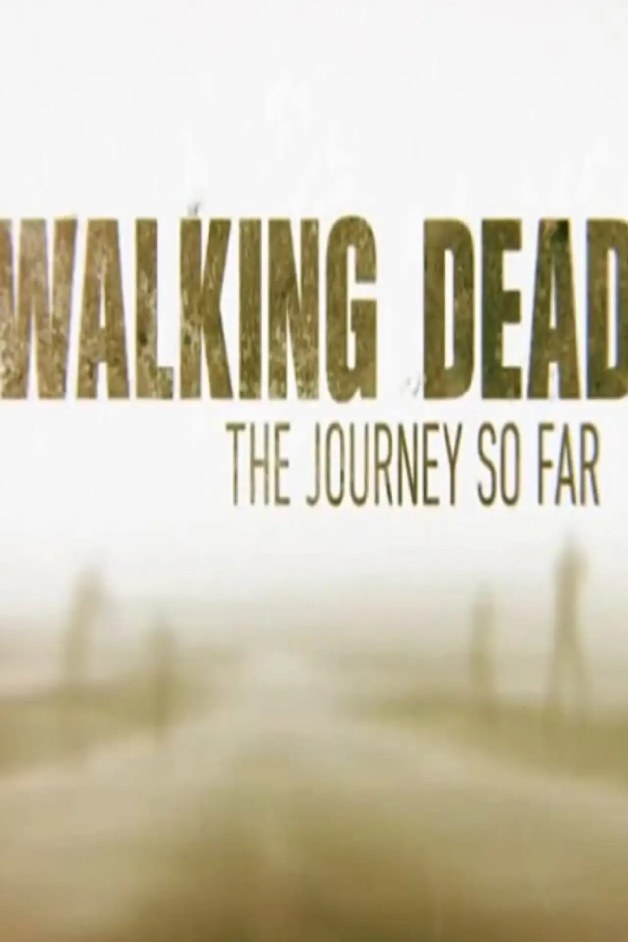 Movie poster "The Walking Dead: The Journey So Far"