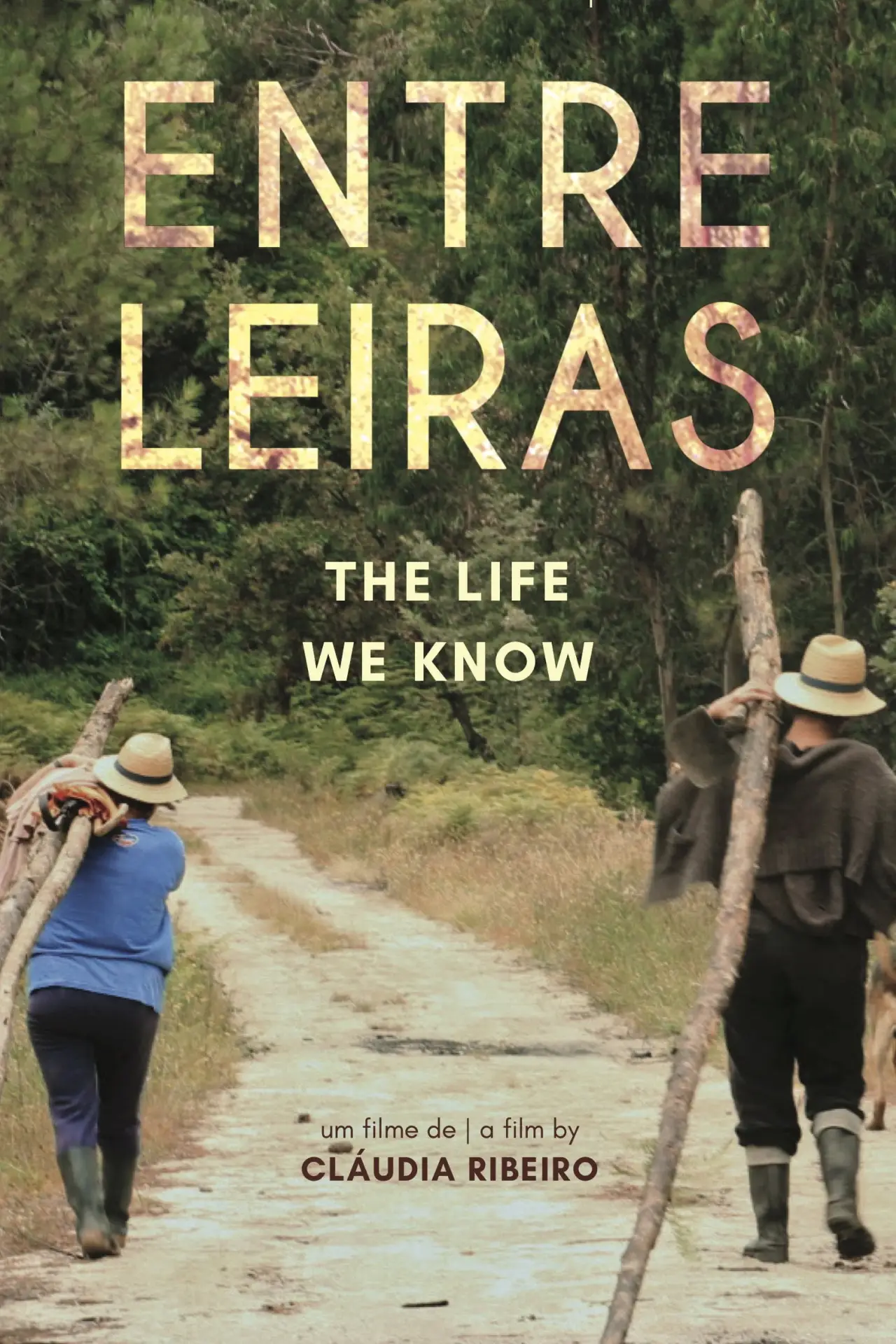 Movie poster "The Life We Know"