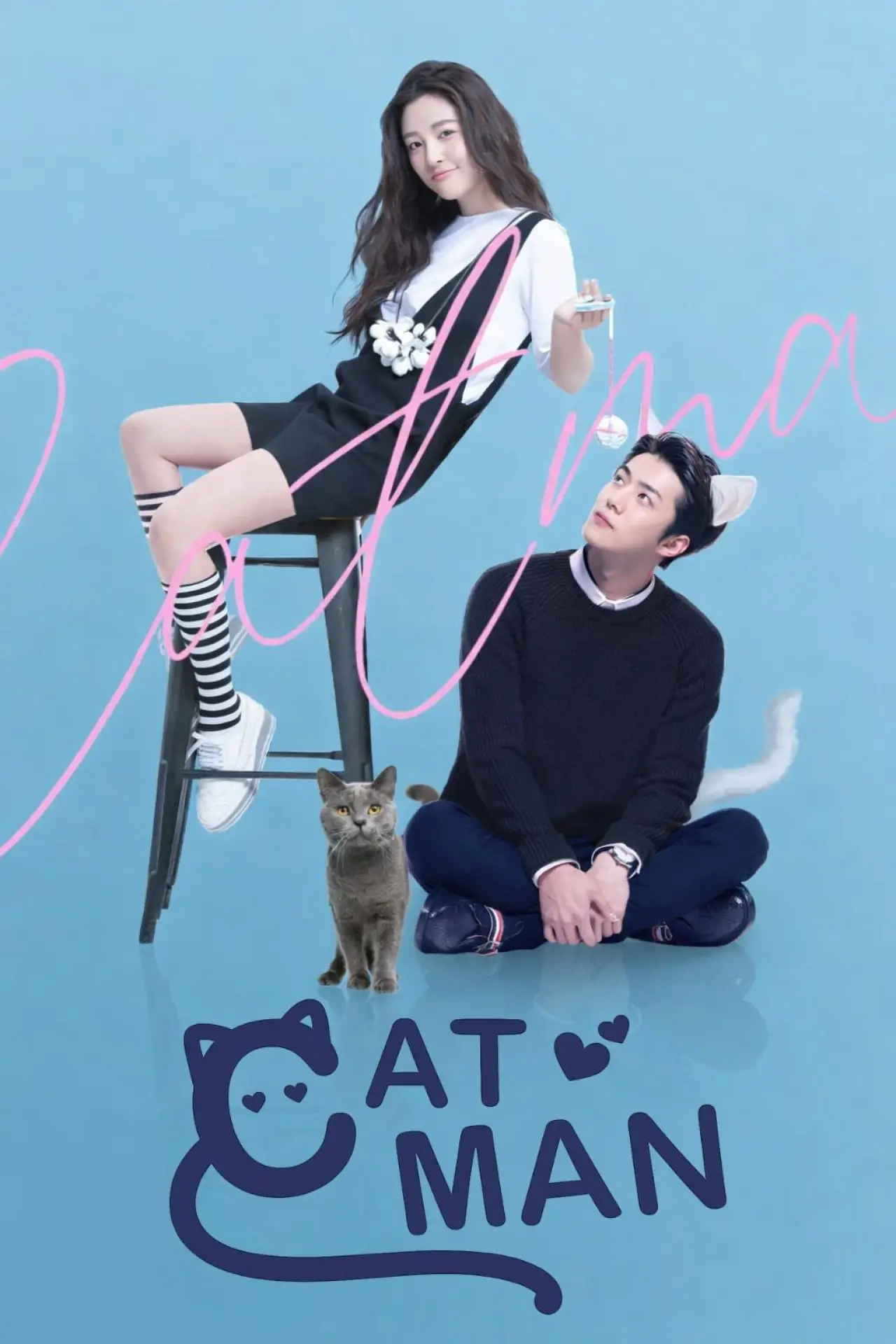 Movie poster "Catman"