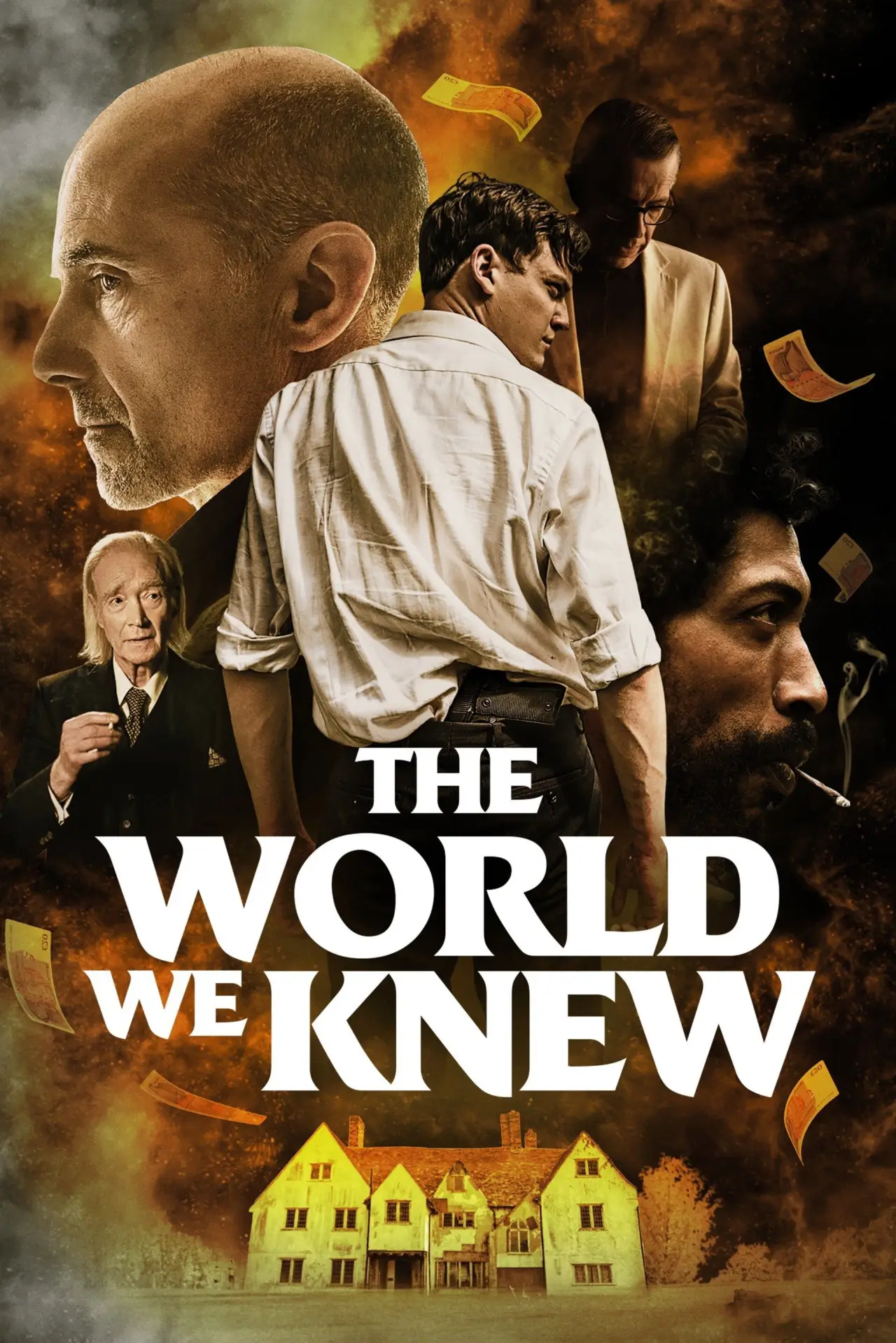 Movie poster "The World We Knew"