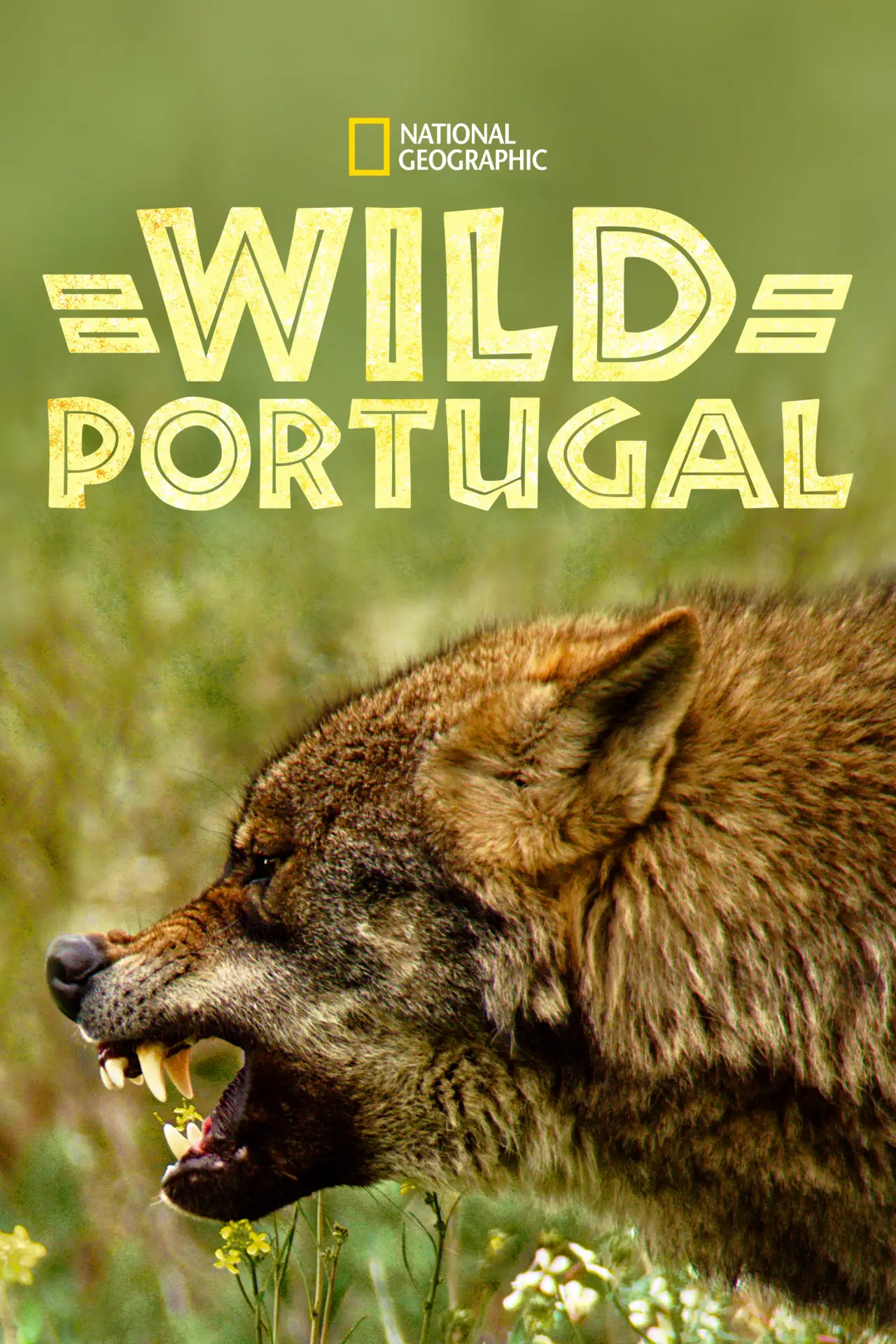 Movie poster "Wild Portugal"