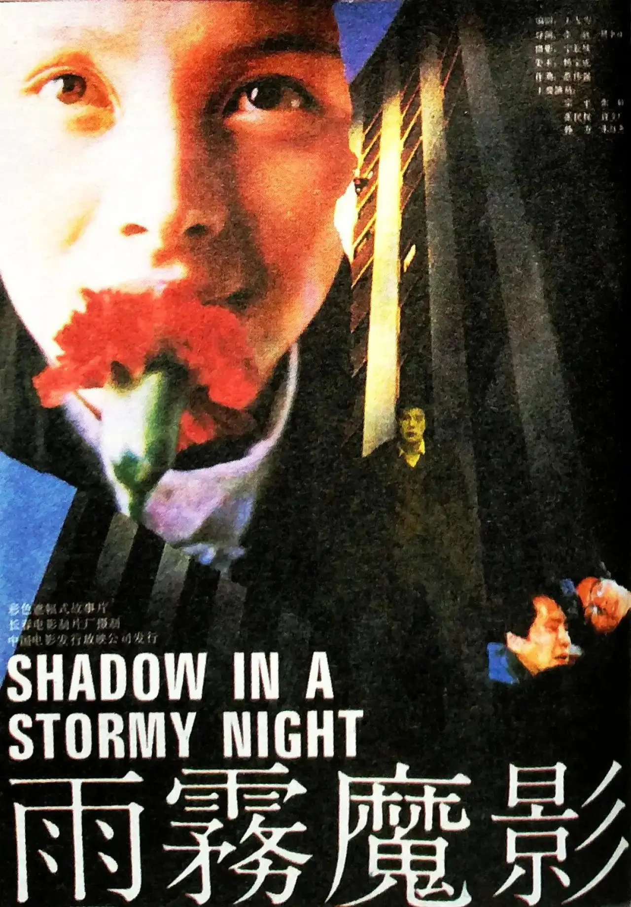 Movie poster "Shadow in a Stormy Night"