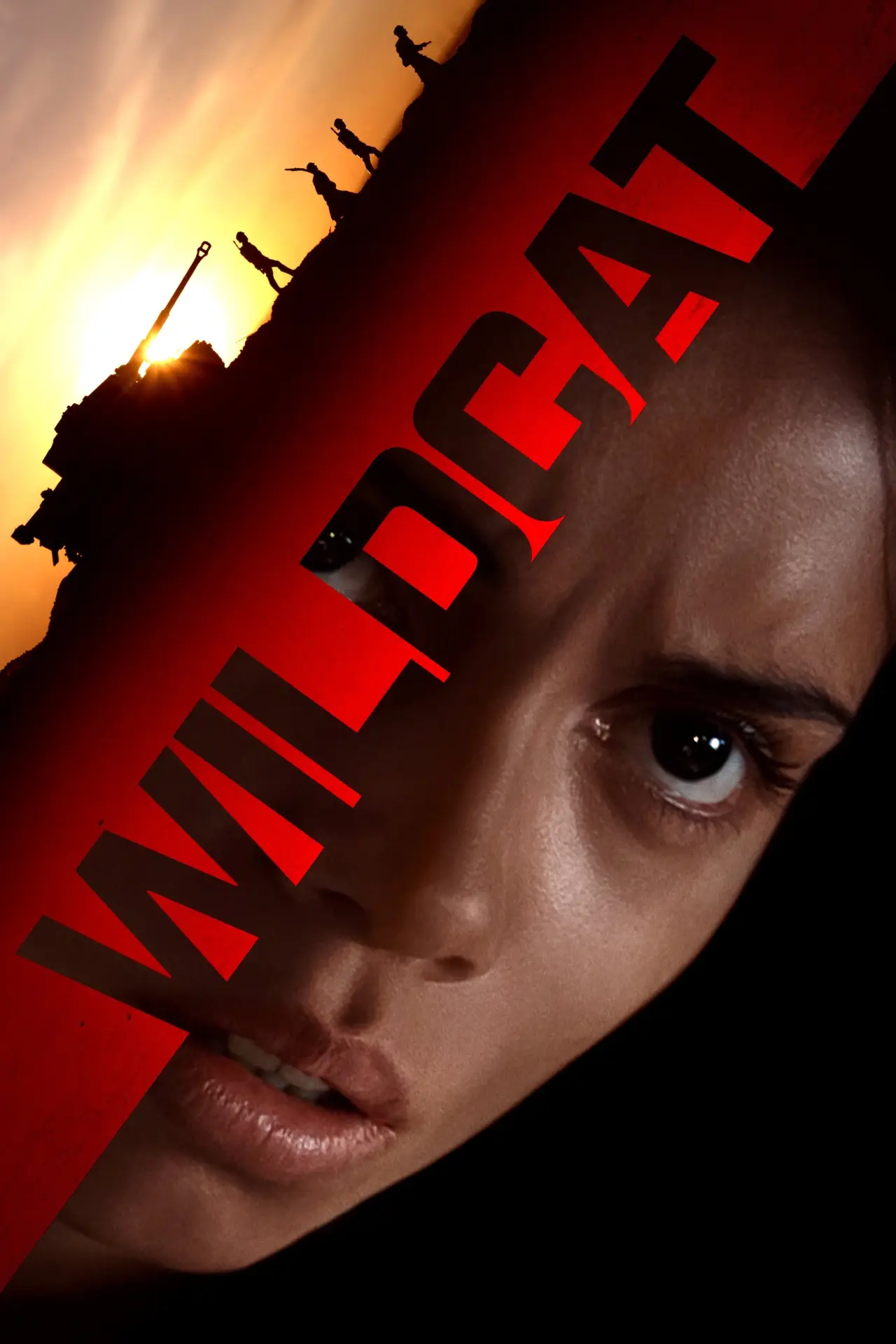 Movie poster "Wildcat"