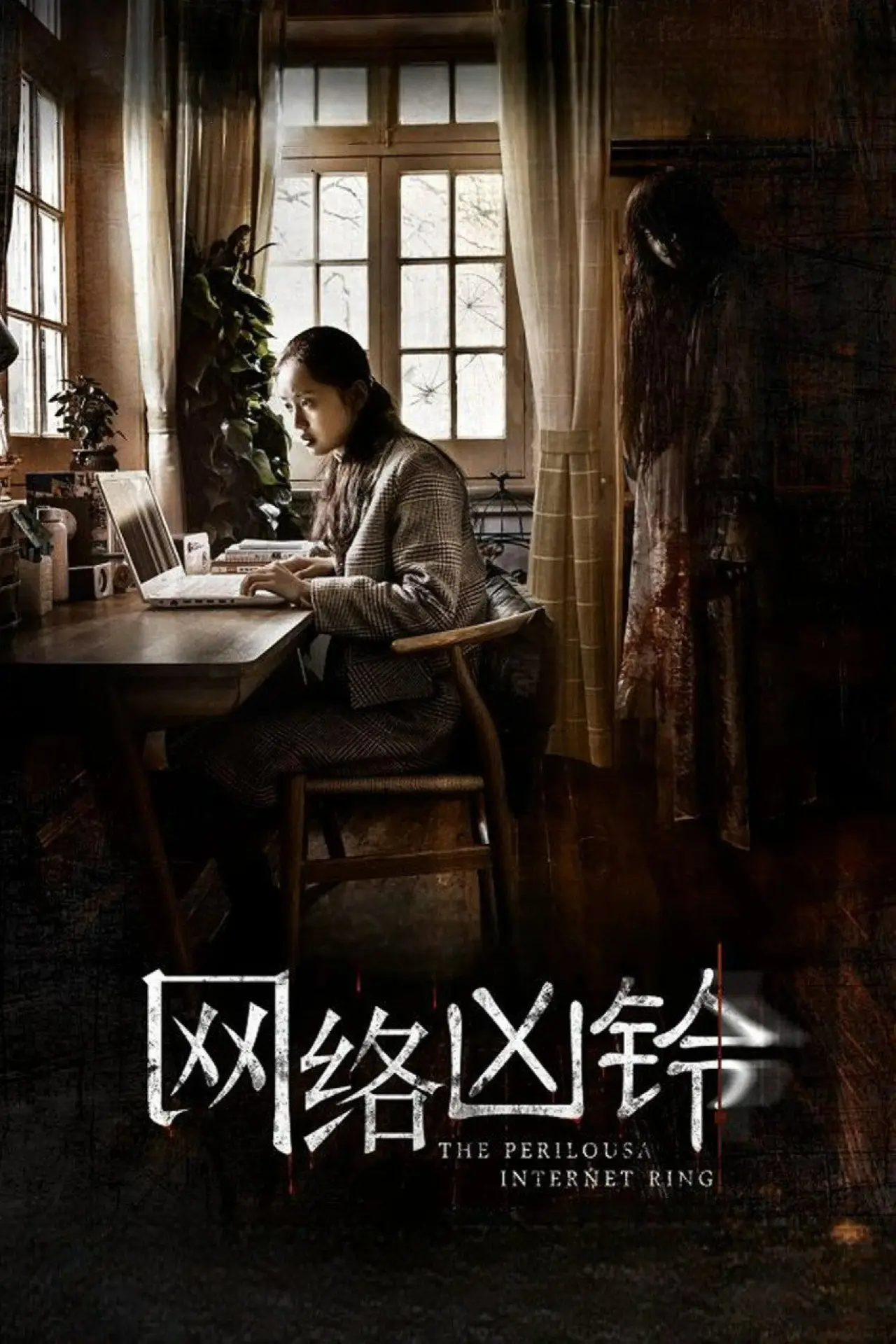 Movie poster "The Perilous Internet Ring"