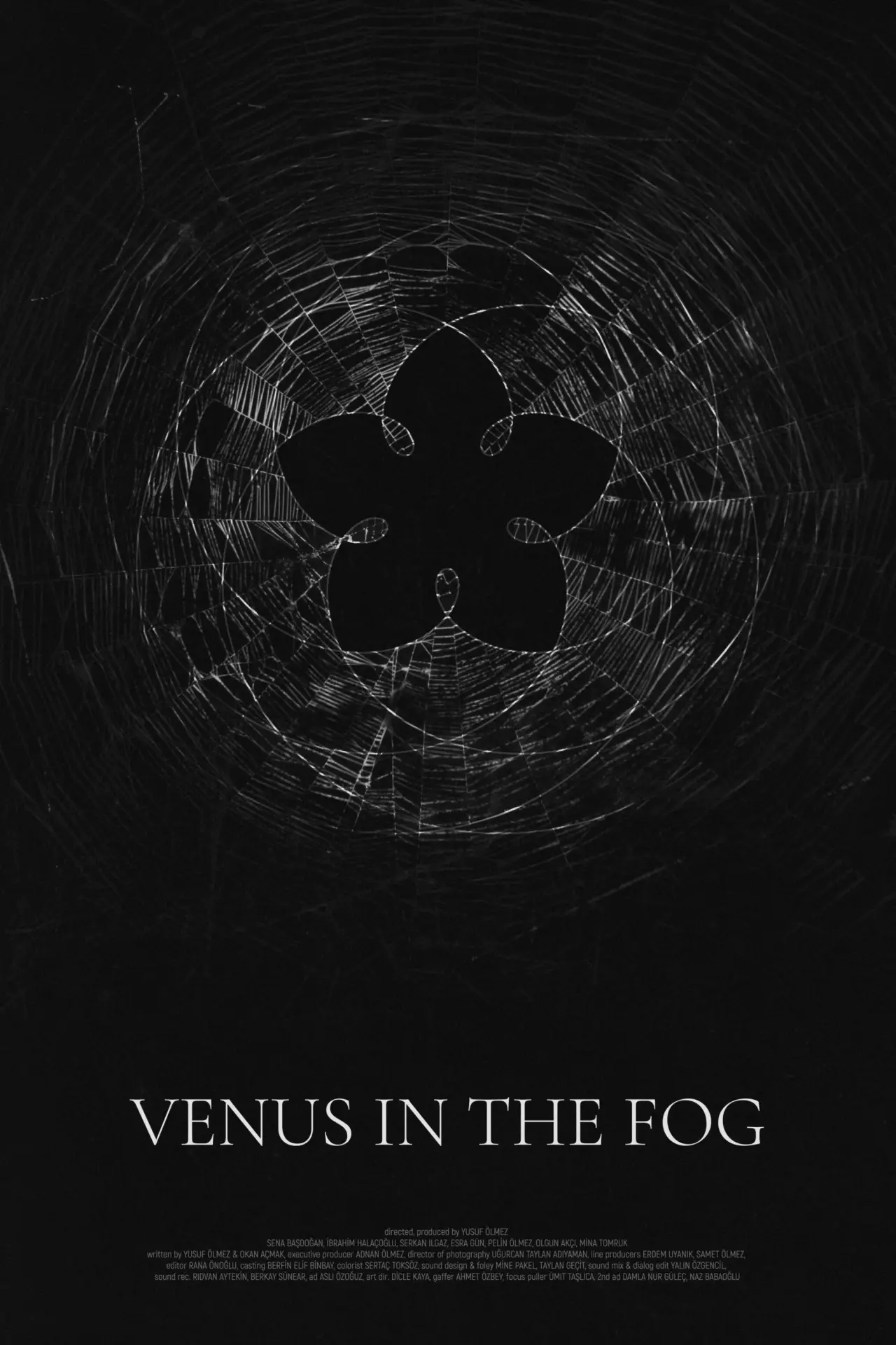 Movie poster "Venus in the Fog"